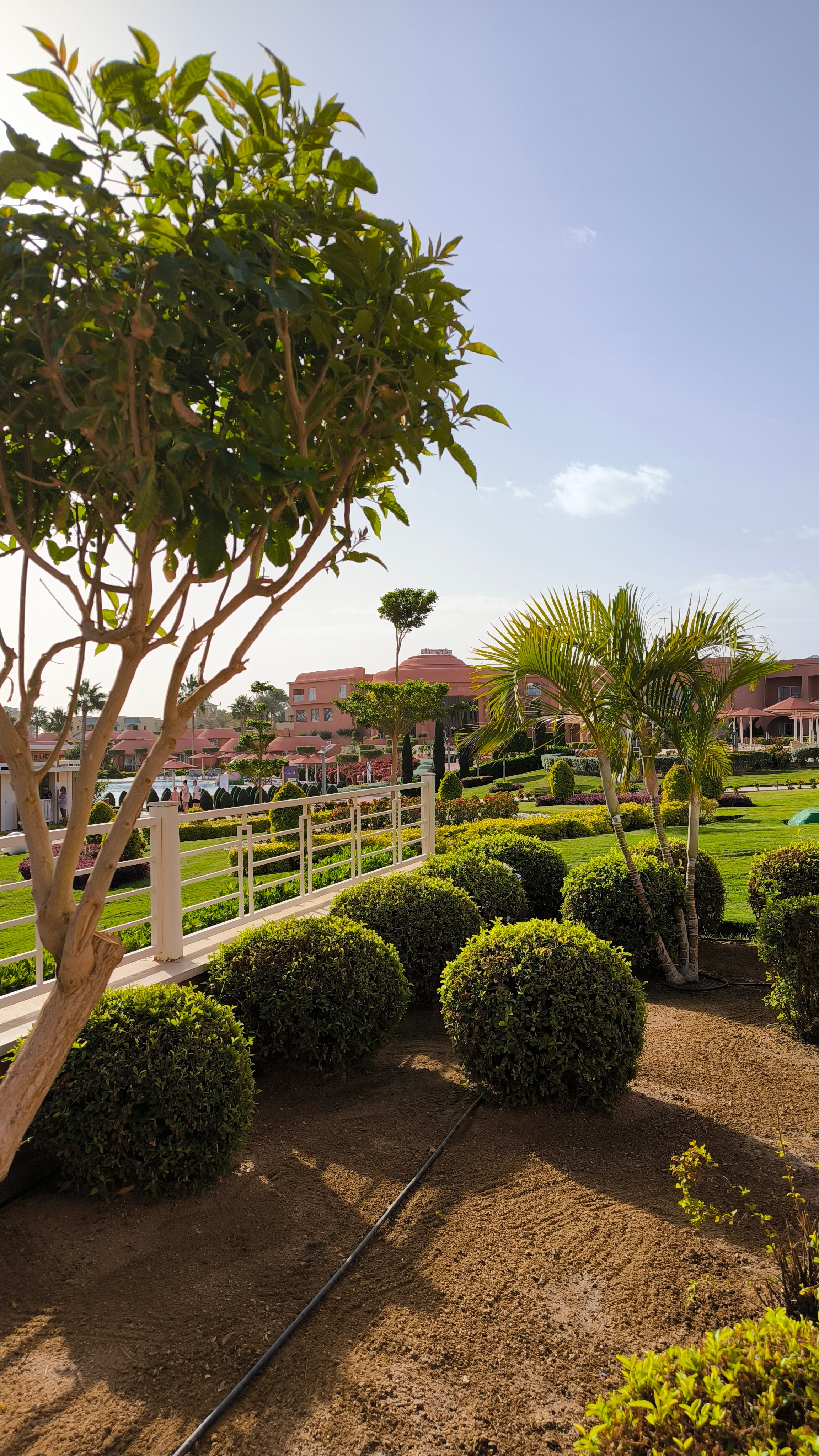 Шарм-Эль-Шейх. Светлана Иванова - профессиональный фотограф