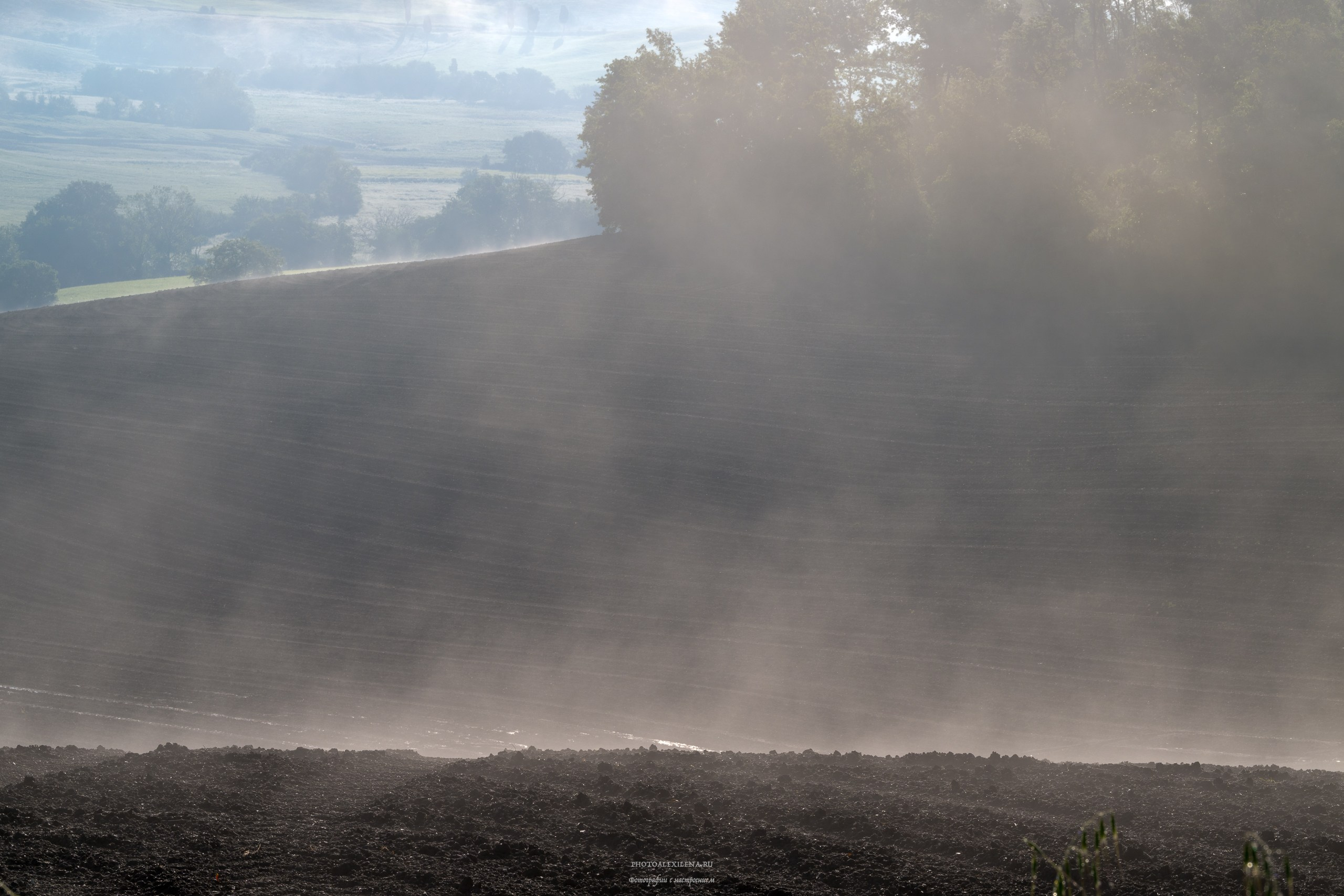 Волшебное утро в Тоскане. Авторские стильные фотокартины