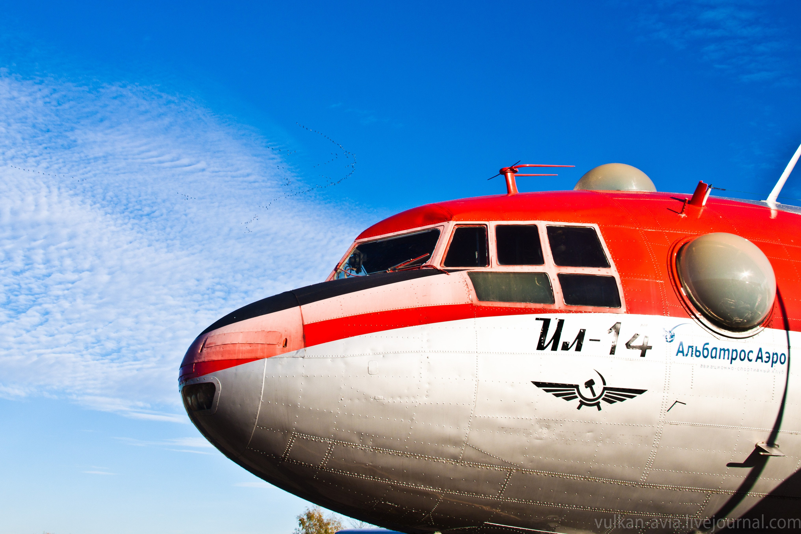 Ил-14Т «Пингвин» в сериале «Палач» режиссёр Вячеслав Никифоров (2014г). Авиационная техника для кино, рекламы и фотосессий