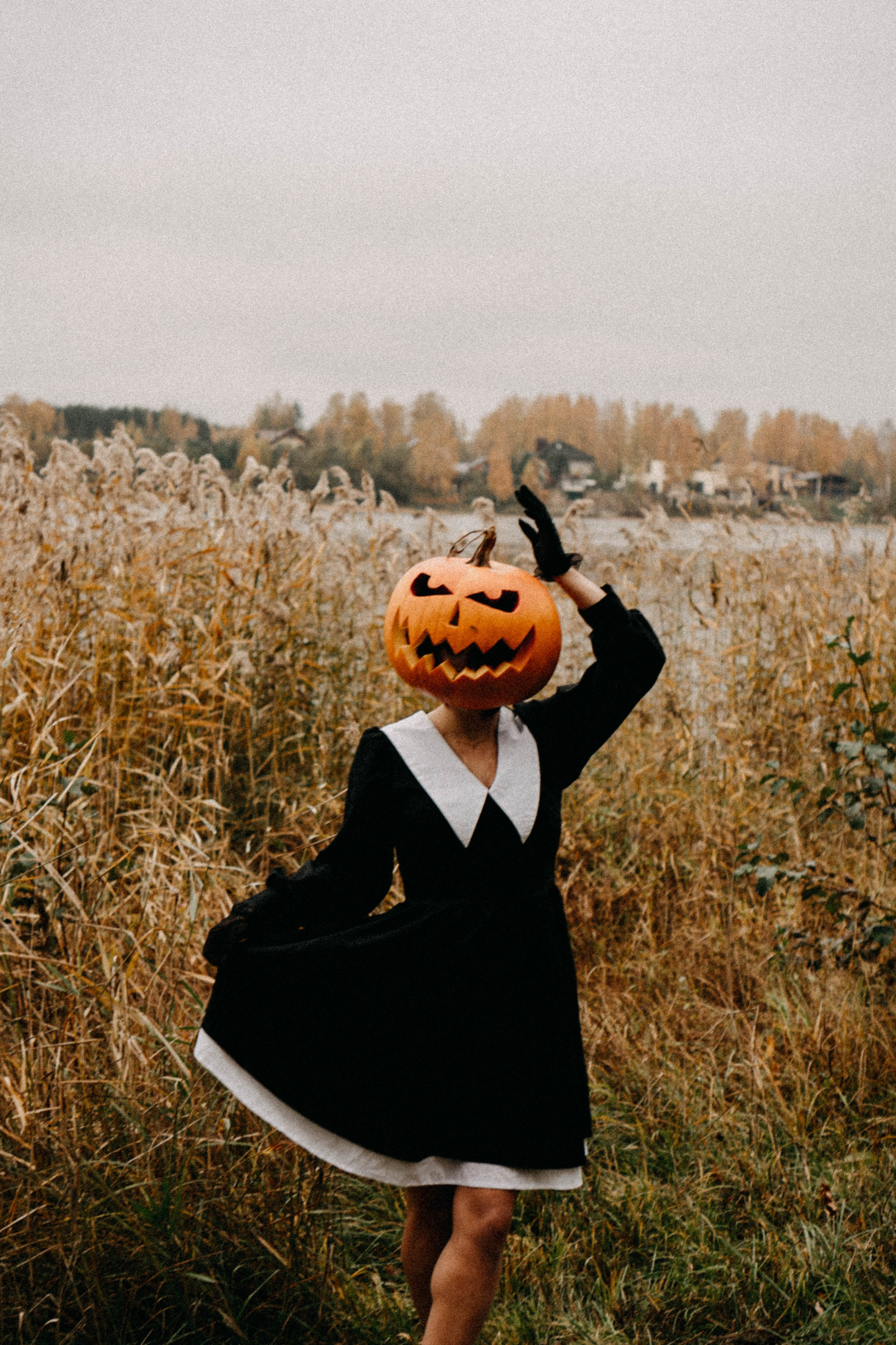 Осеняя. Профессиональный фотограф, Санкт-Петербург — Виктория Богомолова