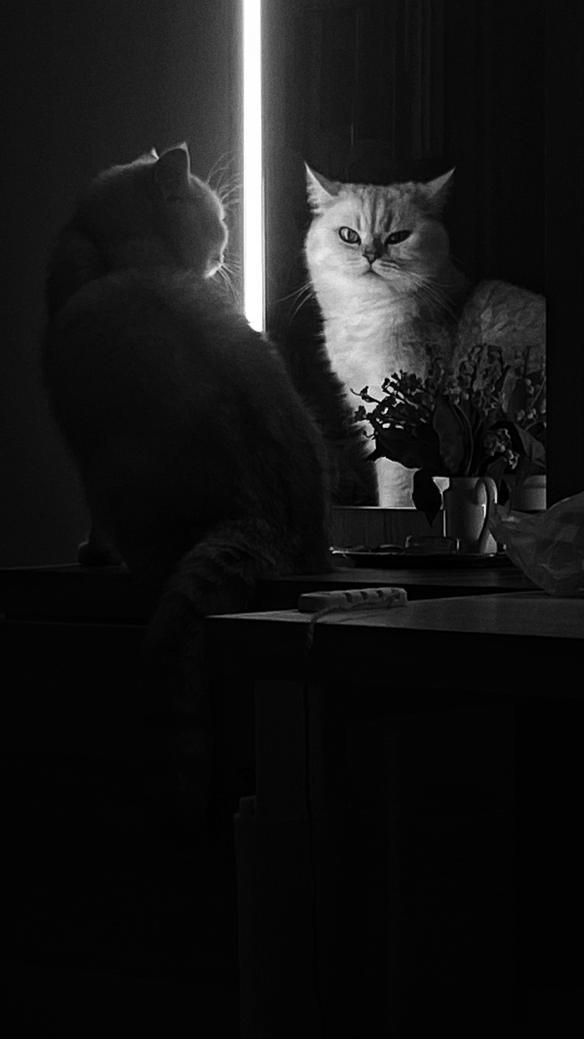 2025 год. Тащилин Сергей. Фотографии. Жизнь. Хобби