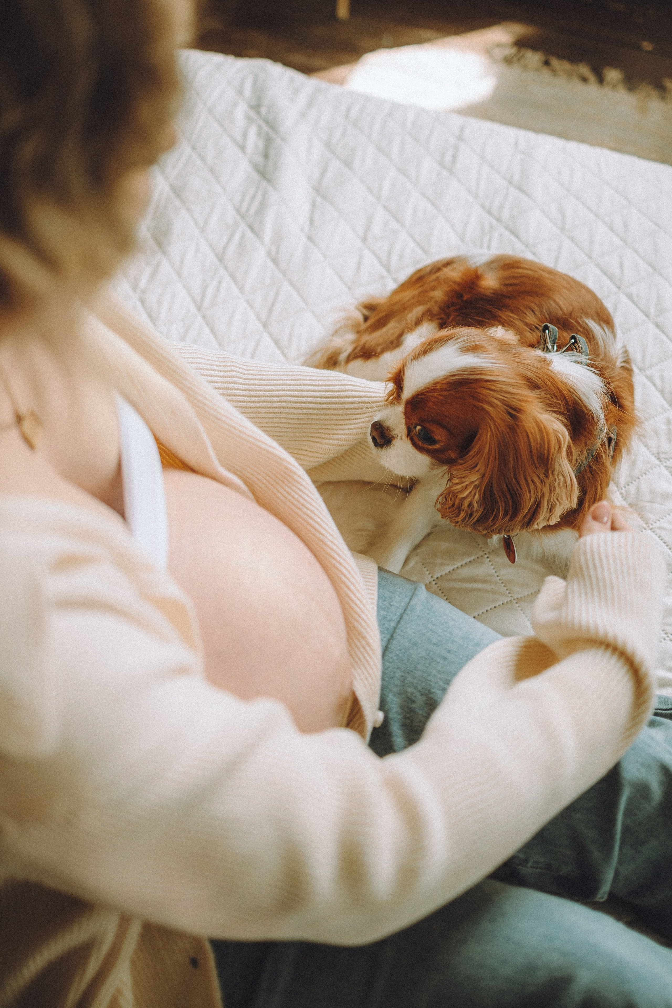 Валя, Вася, Аня и Ириска