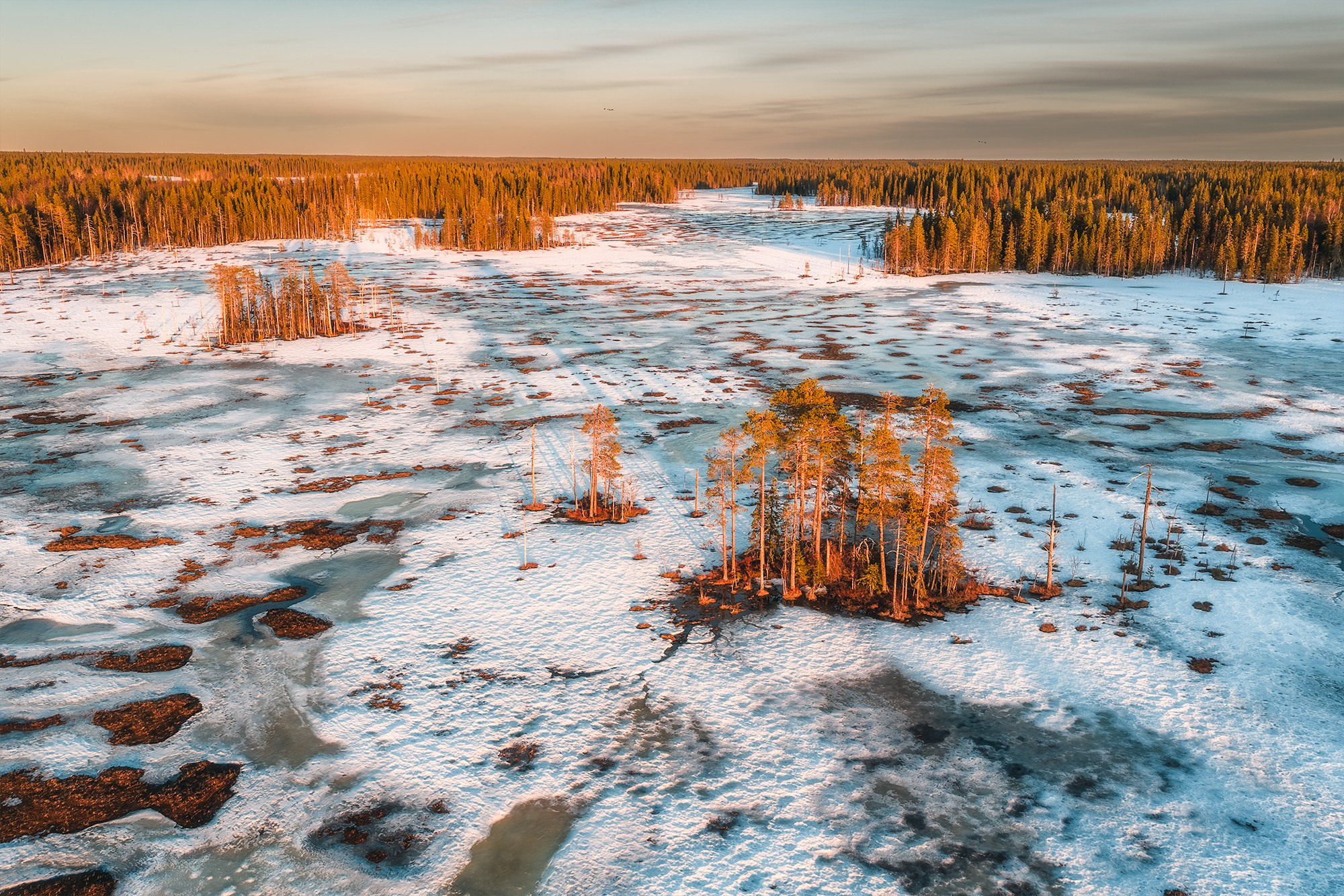 Истории. Фотосъемка в Архангельске, фотограф Александр Ермолин