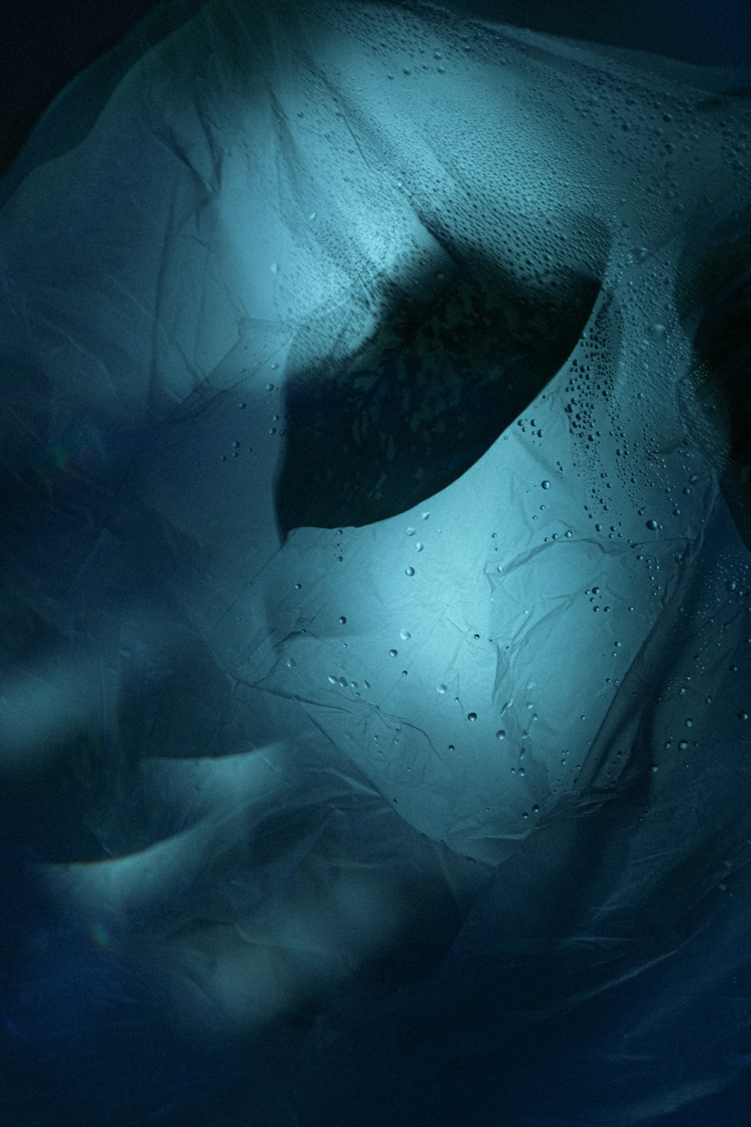 Природа &. Фотохудожник в СПб