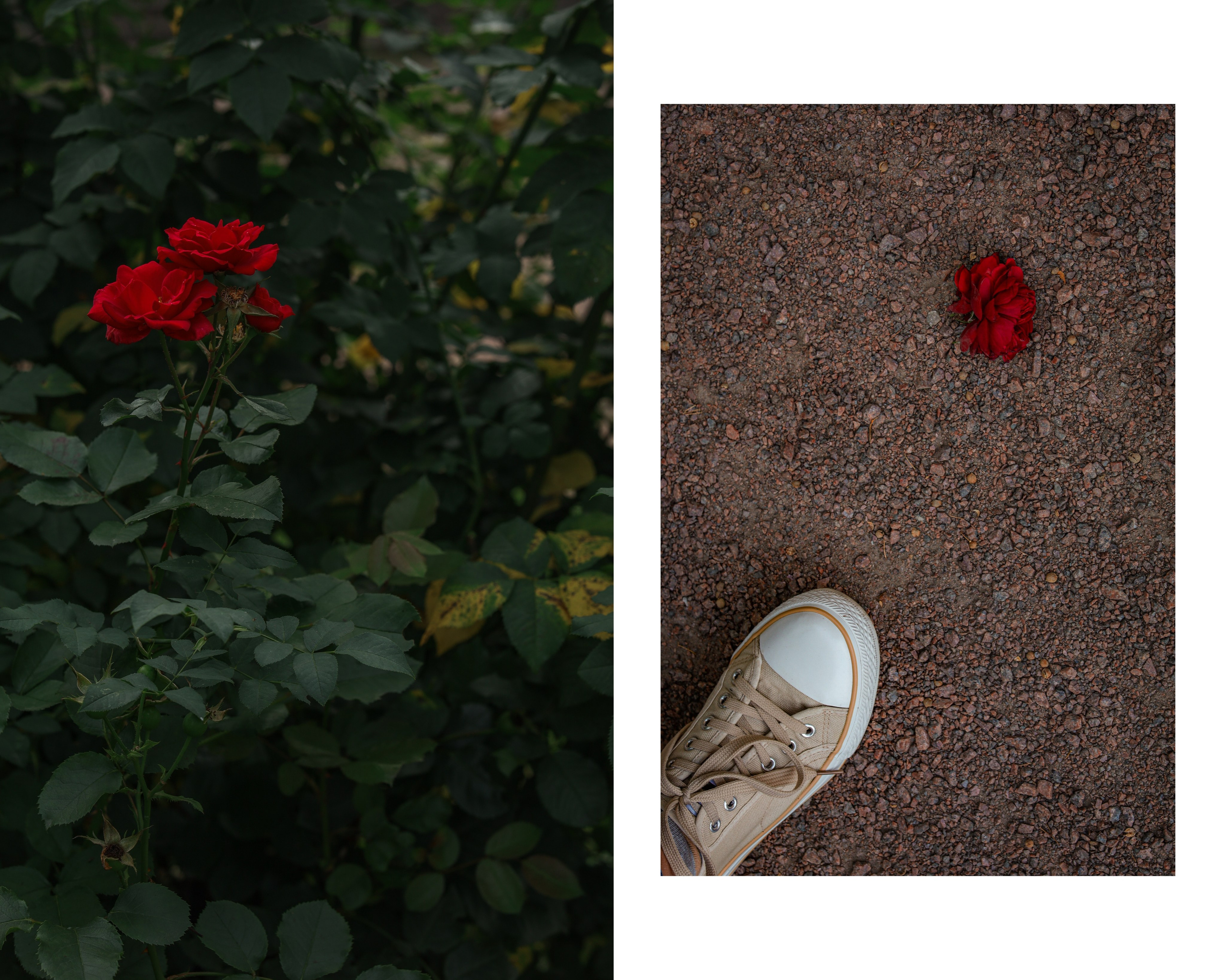 Пространства &. Фотохудожник в СПб