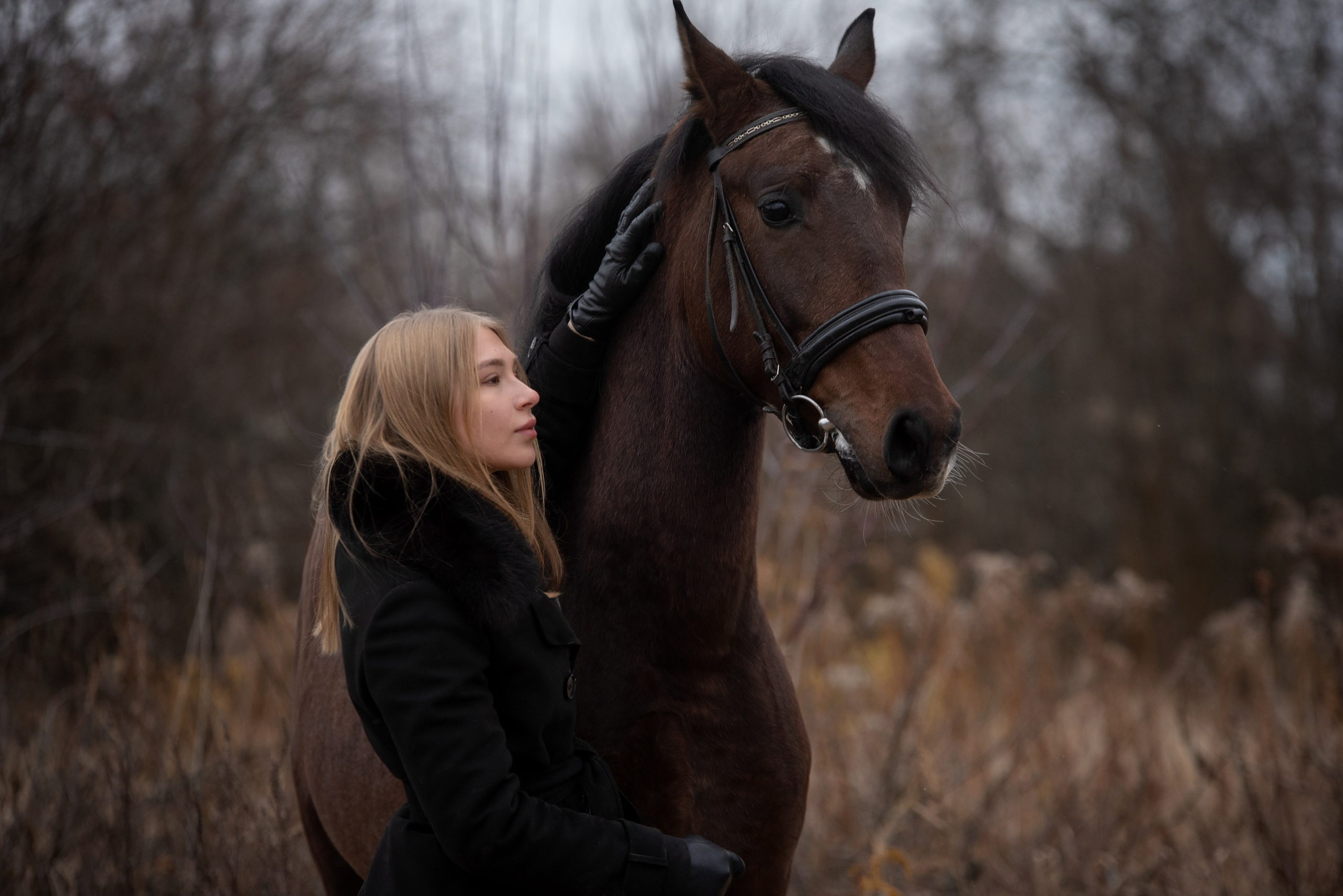 Кони. Мотофотограф в Нижнем Новгороде Динара Зуйкова