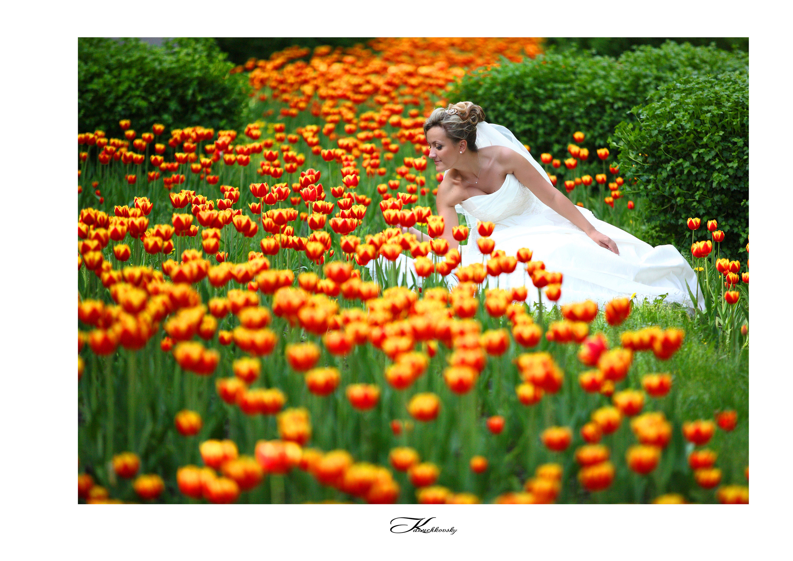 СВАДЬБА. Свадебный и семейный фотограф в Томске Константин Янучковский