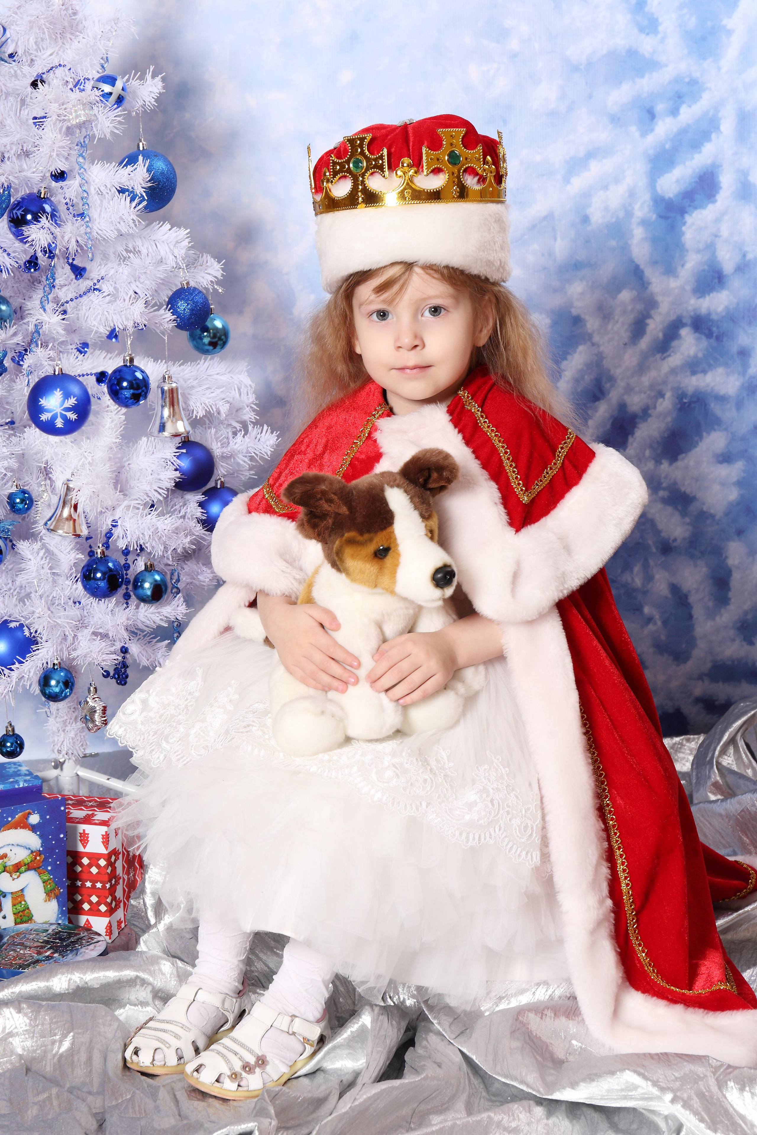 Костюмированная Новогодняя фотосессия в стиле «ХОЛОДНОЕ СЕРДЦЕ». Свадебный и семейный фотограф в Томске Константин Янучковский