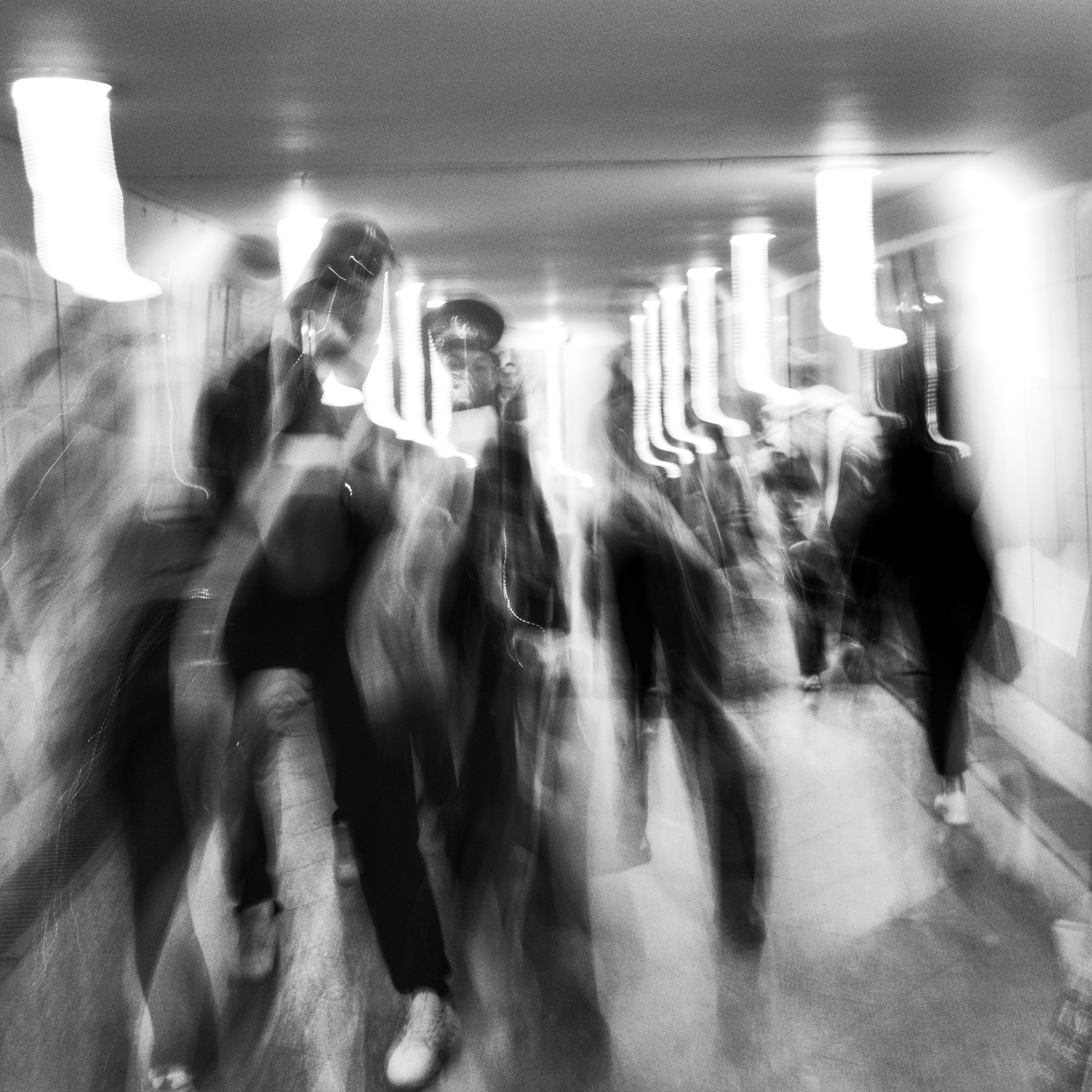 Primavera. Metagraphy