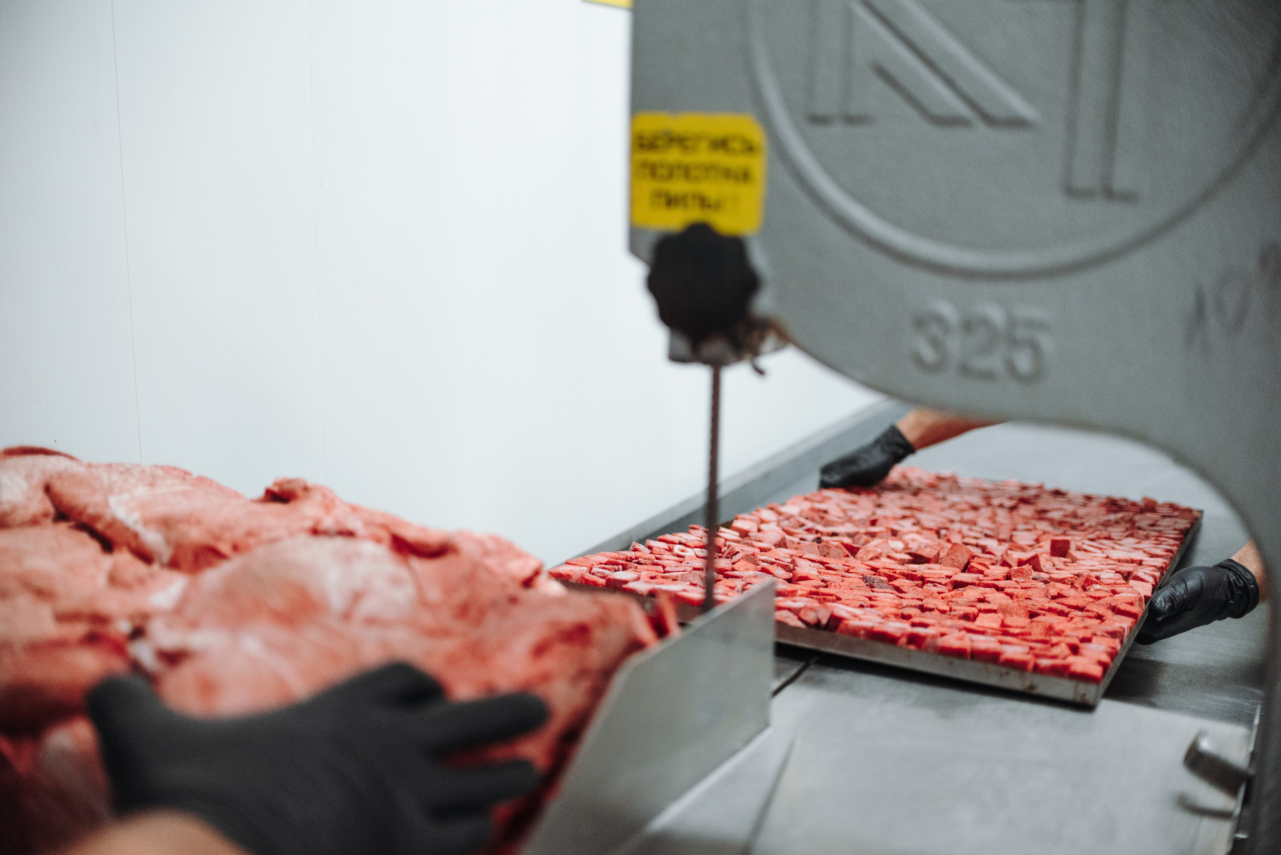 Dog Bone производство. Фотограф-анималист Валерия, Москва, Мытищи