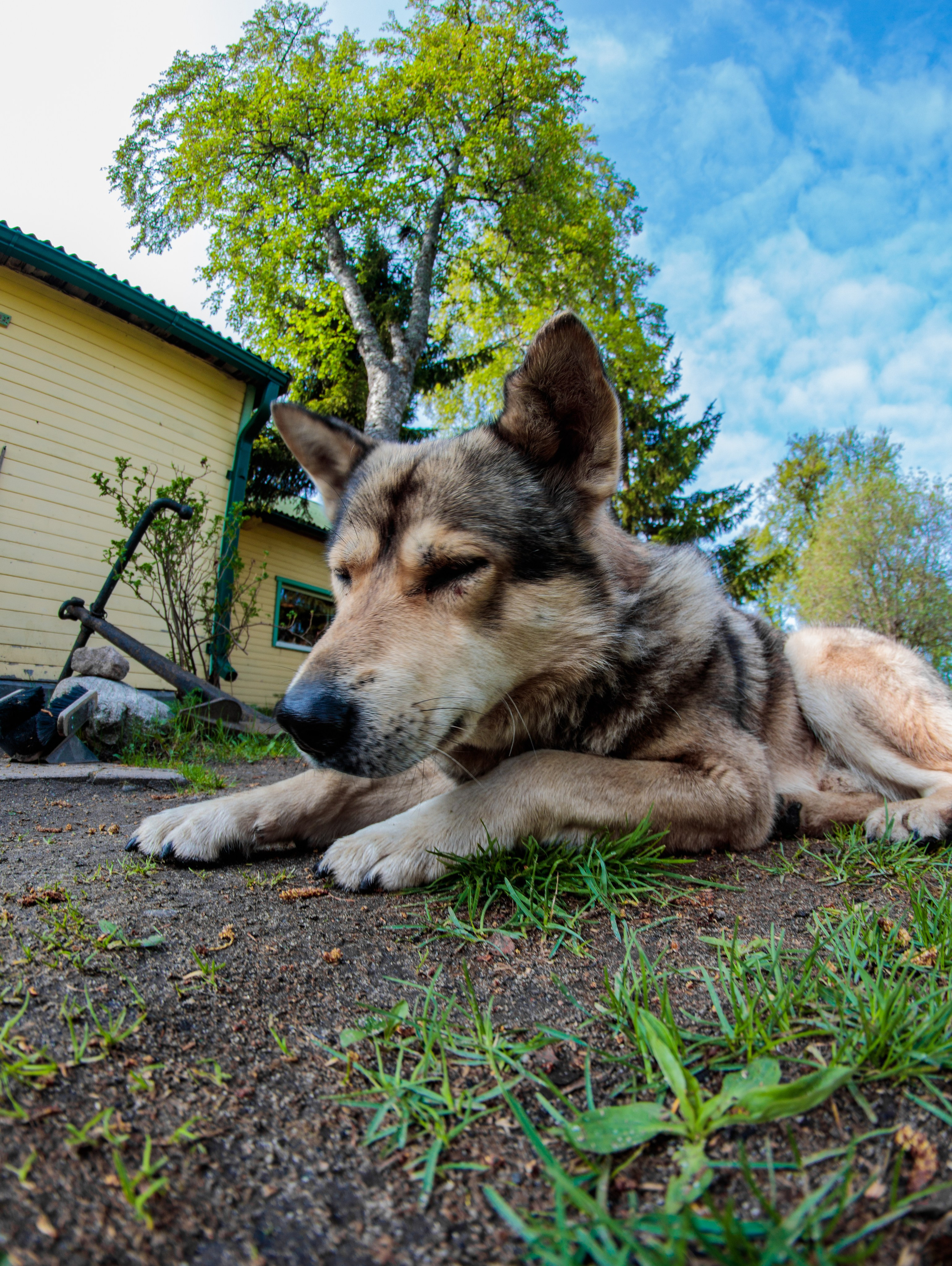 И вокруг меня. Портретный и концертный фотограф в Санкт-Петербурге Егор Телятников