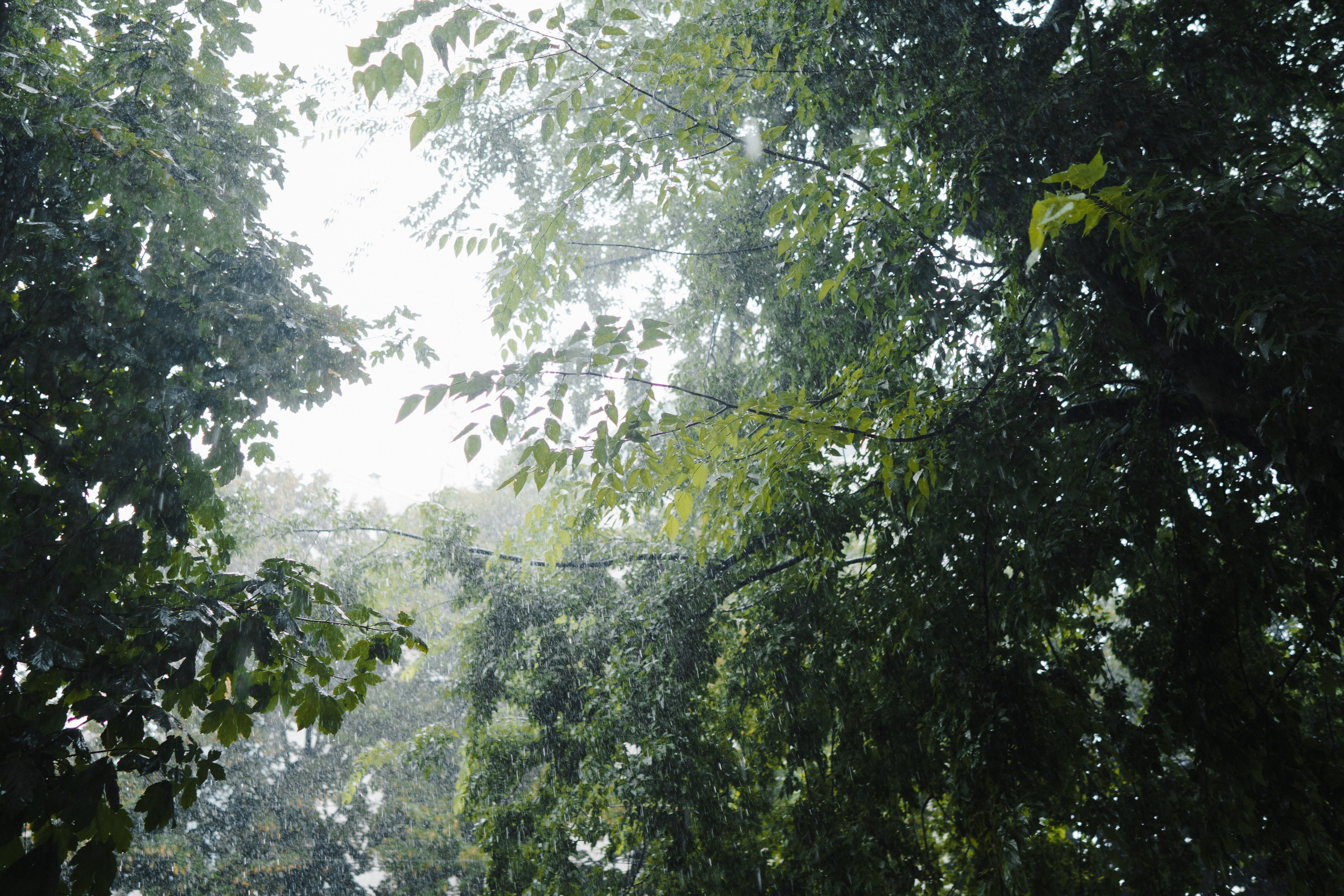 Денис и Диана. Главная