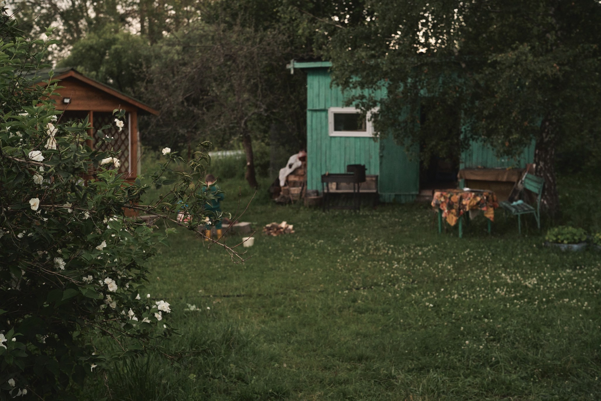 Дачная история в Малиновке. Фотограф Женя Пашкина