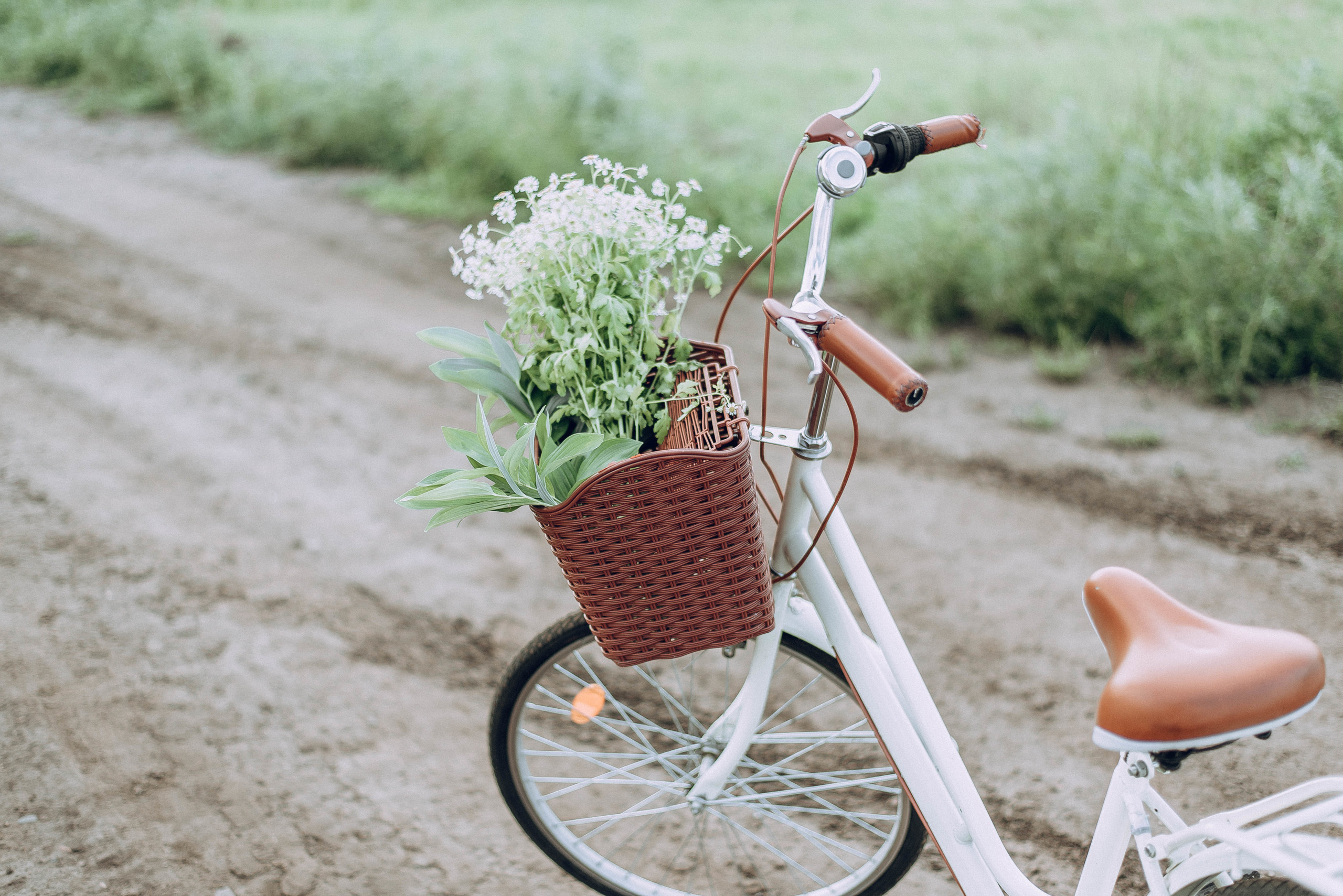 Олег и Даша. Свадебный и семейный фотограф в Чите Юлия Оранская