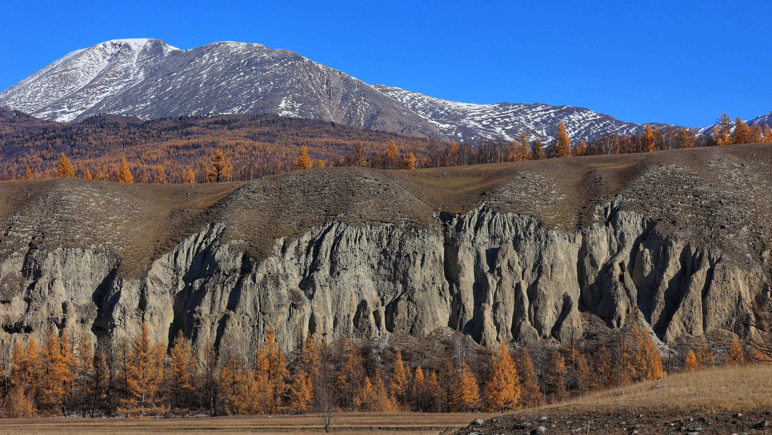 2023. Тащилин Сергей. Фотографии. Жизнь. Хобби