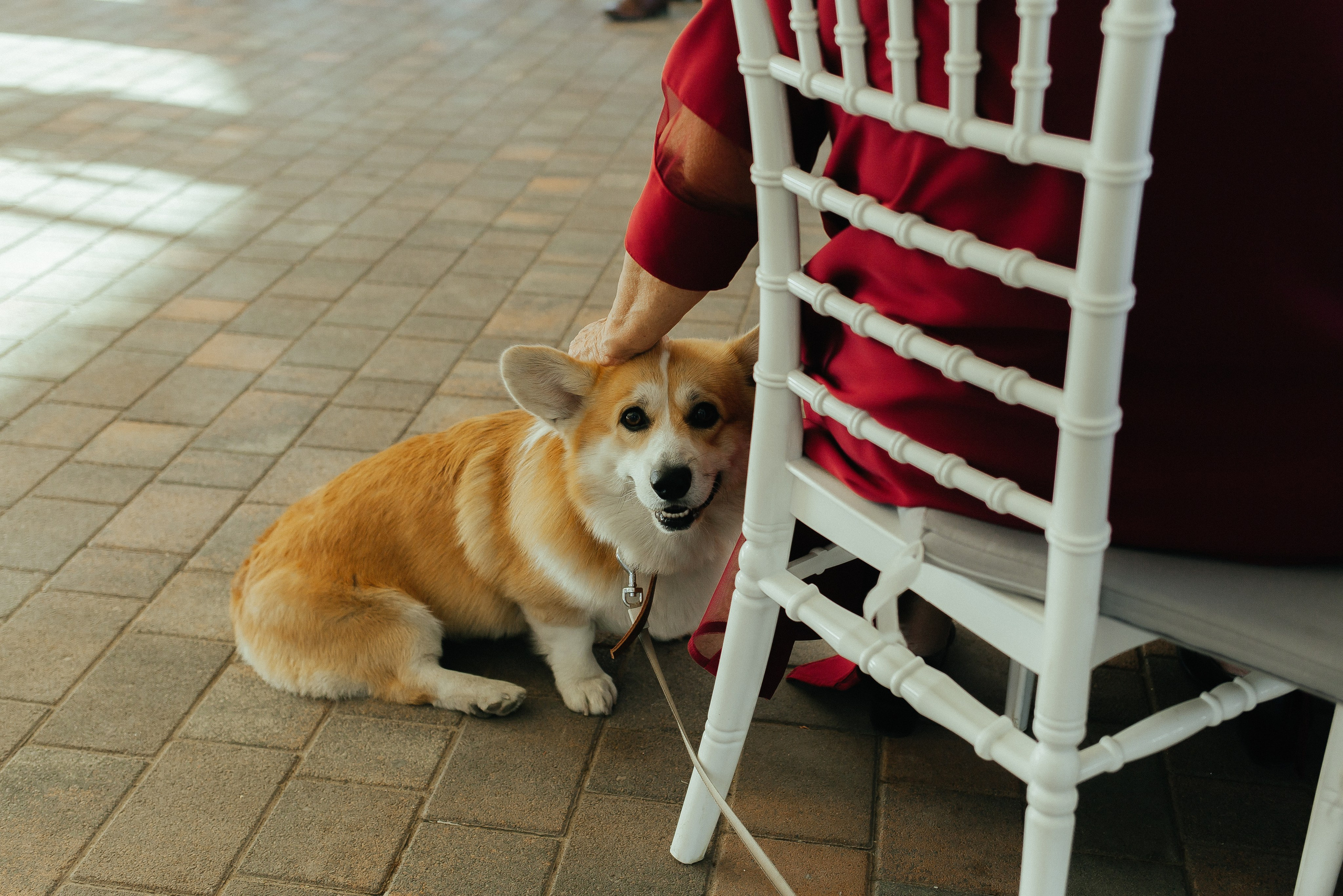 D & D. Фотограф Ольга Сапронова. Свадебный фотограф Ольга Сапронова