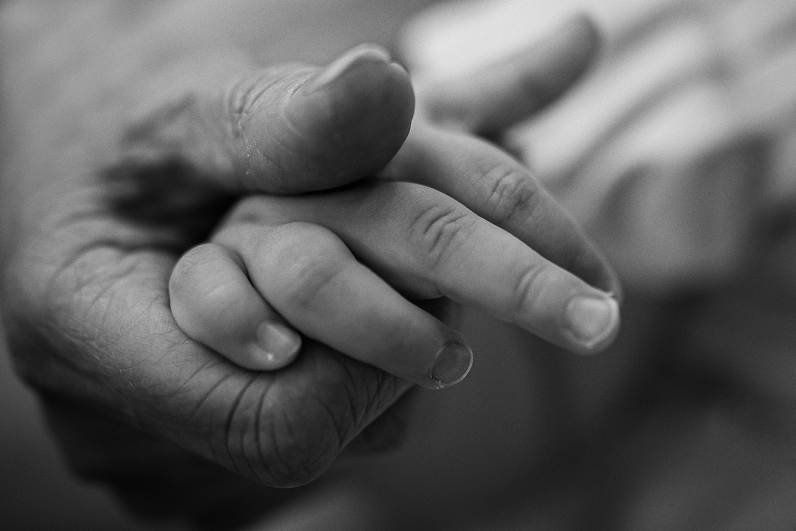 Стефания. 1 годик. Семейный фотограф в Москве Натали Момот