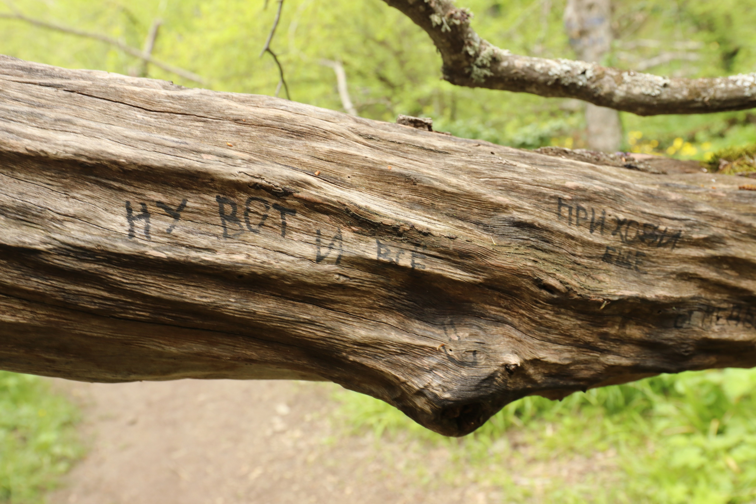 Крым. ЮБК (Севастополь, Кастрополь, Ялта). Май 2023. Путешественник-фотограф из Санкт-Петербурга Татьяна Свистулина