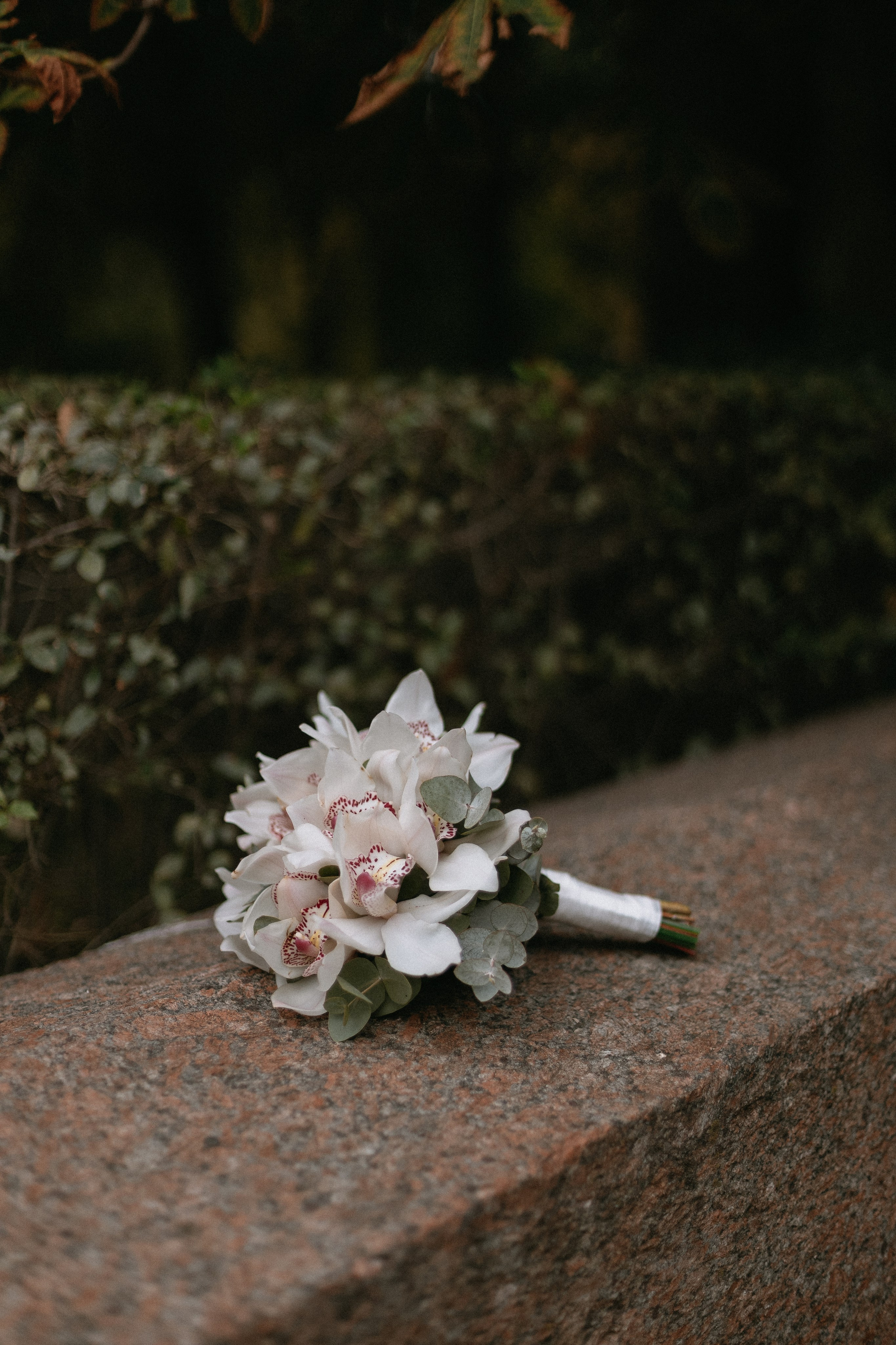 Beautiful 14.10. Главная