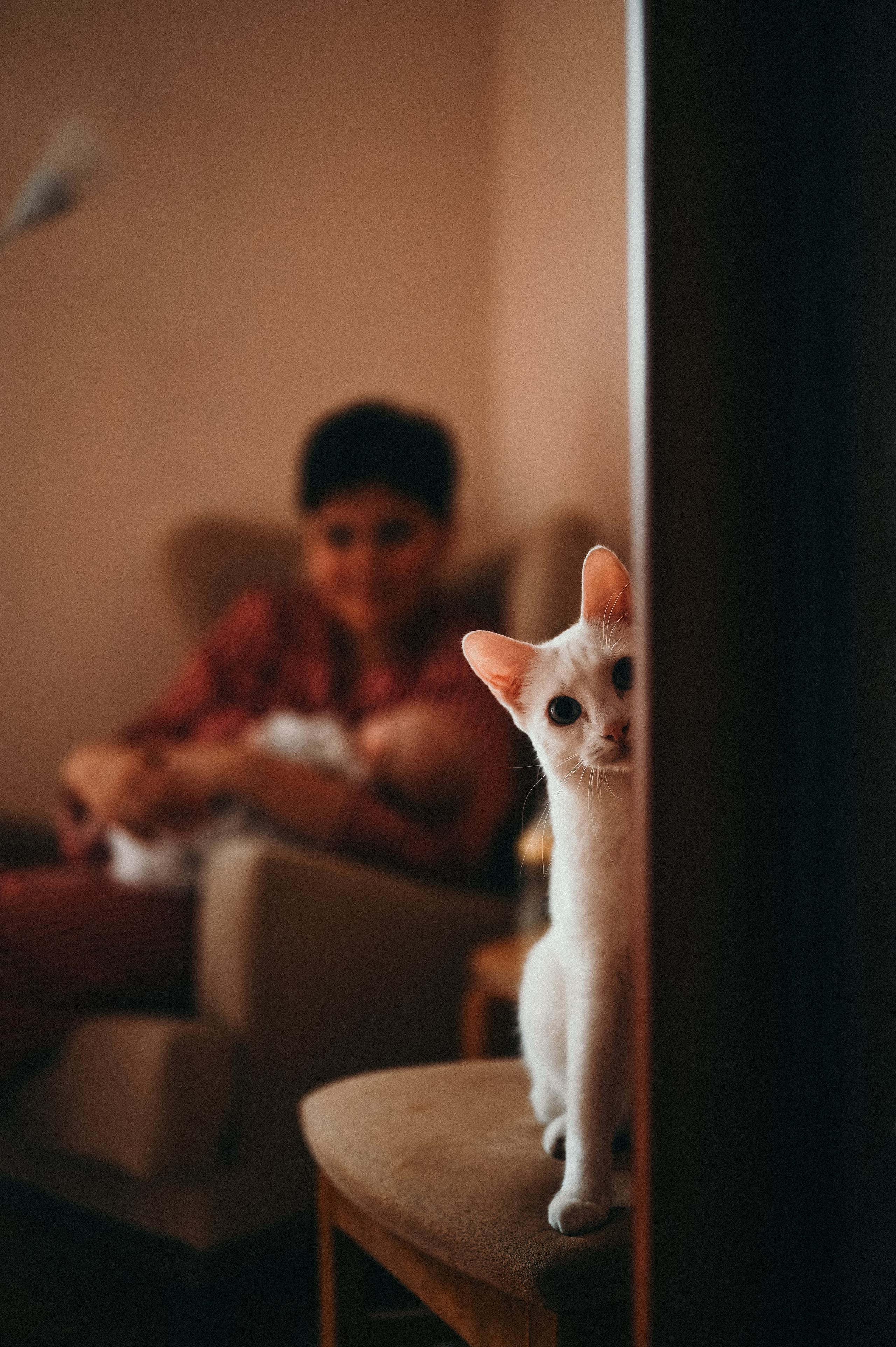 Обо мне. Фотограф новорожденных и беременых в санкт-петербурге Юля Лампа
