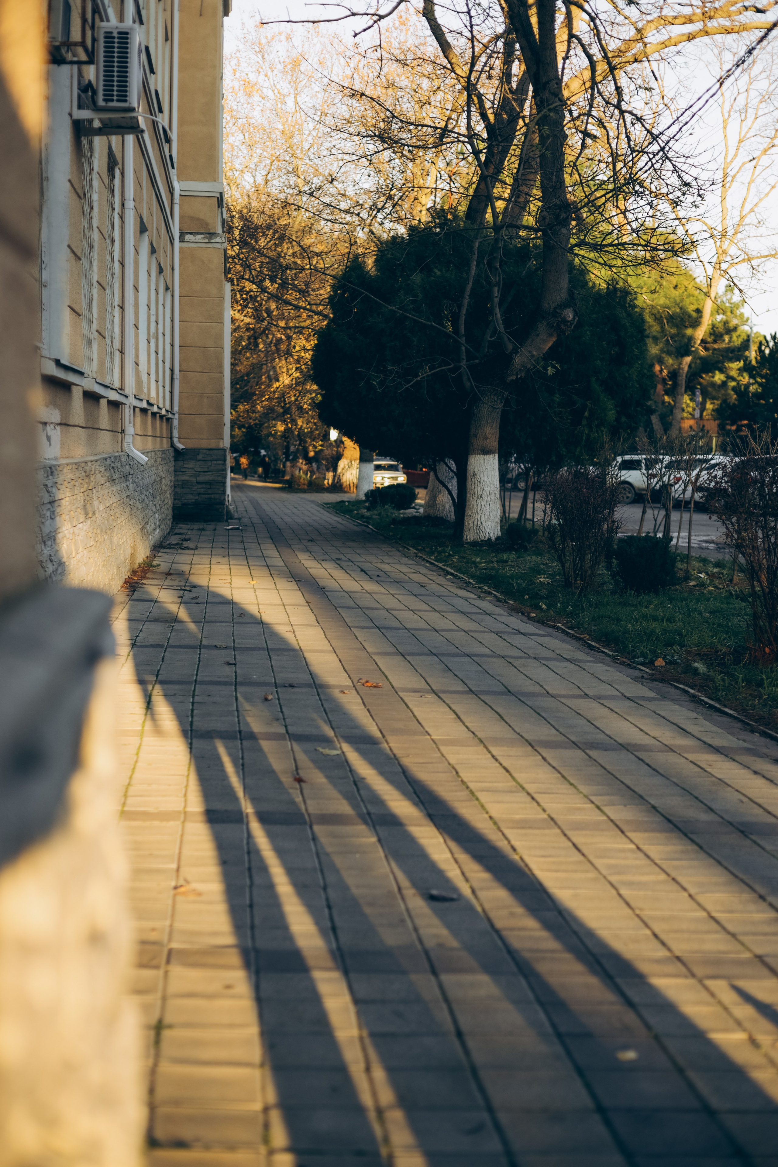 Вика и Саша. Семейный фотограф Анапа