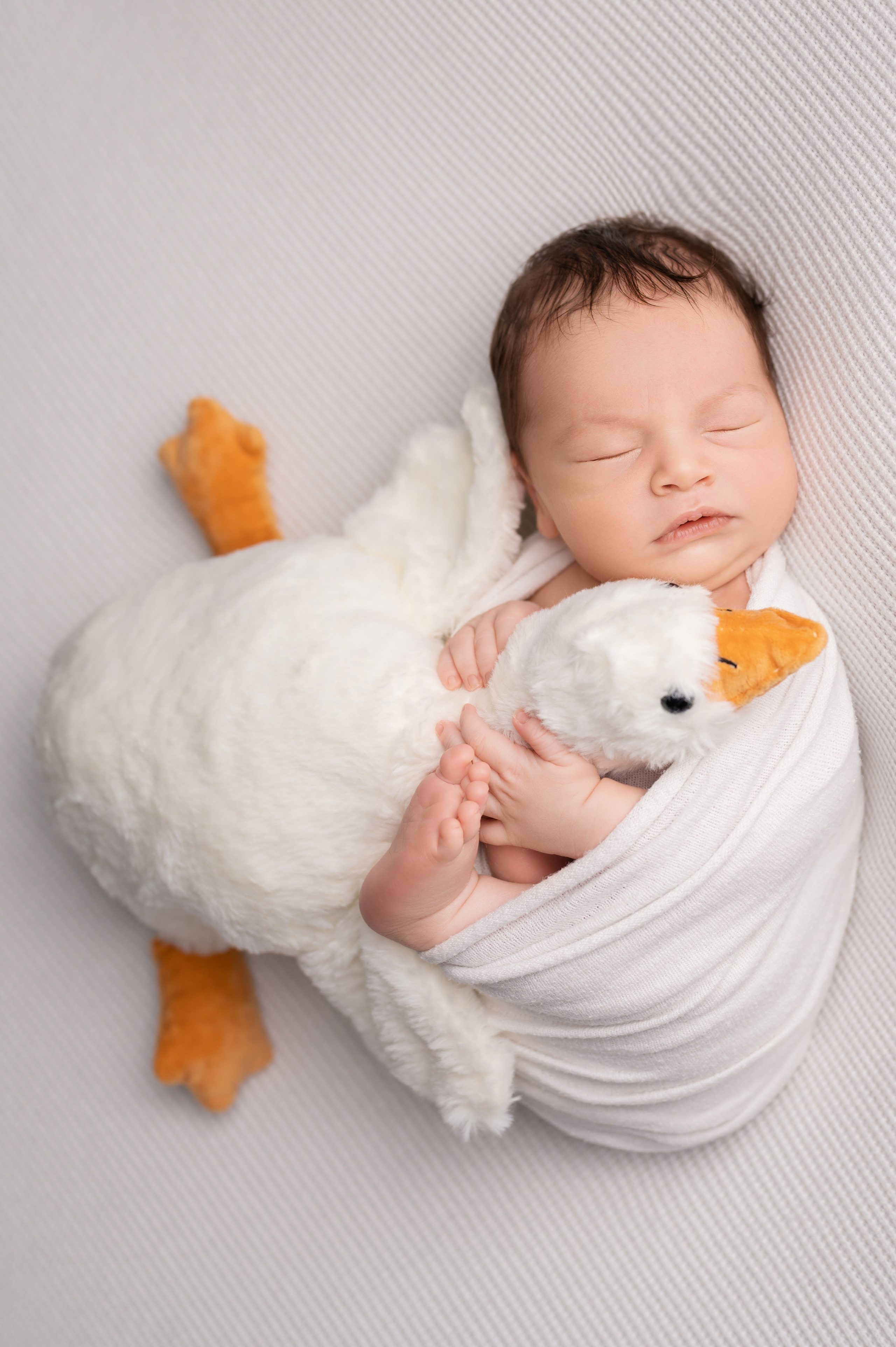 фотосессия newborn СПб