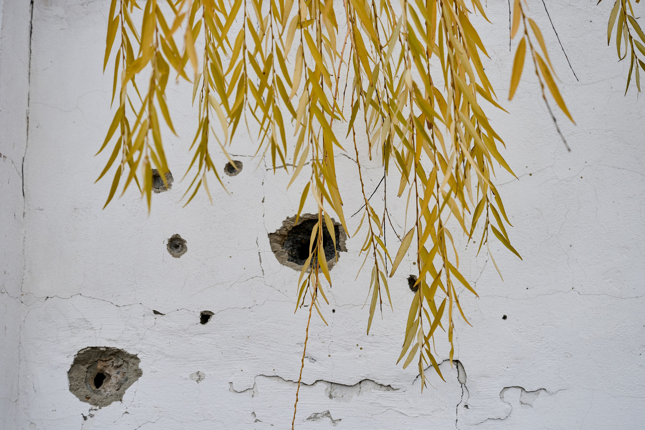 Фото для презентации фотопроекта «Территории». Фотопроект «Территории»