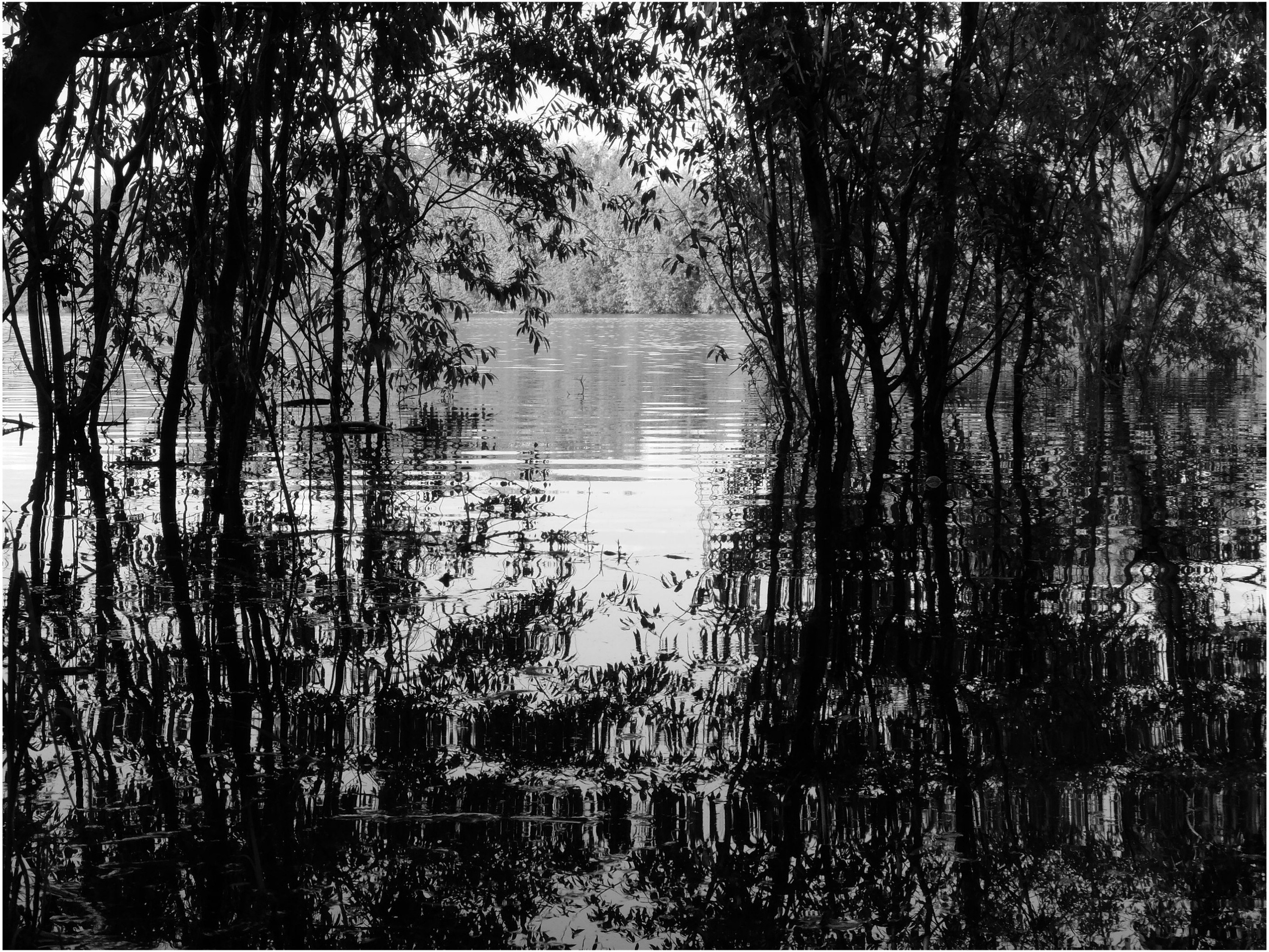 Промежуточные моменты (2022)