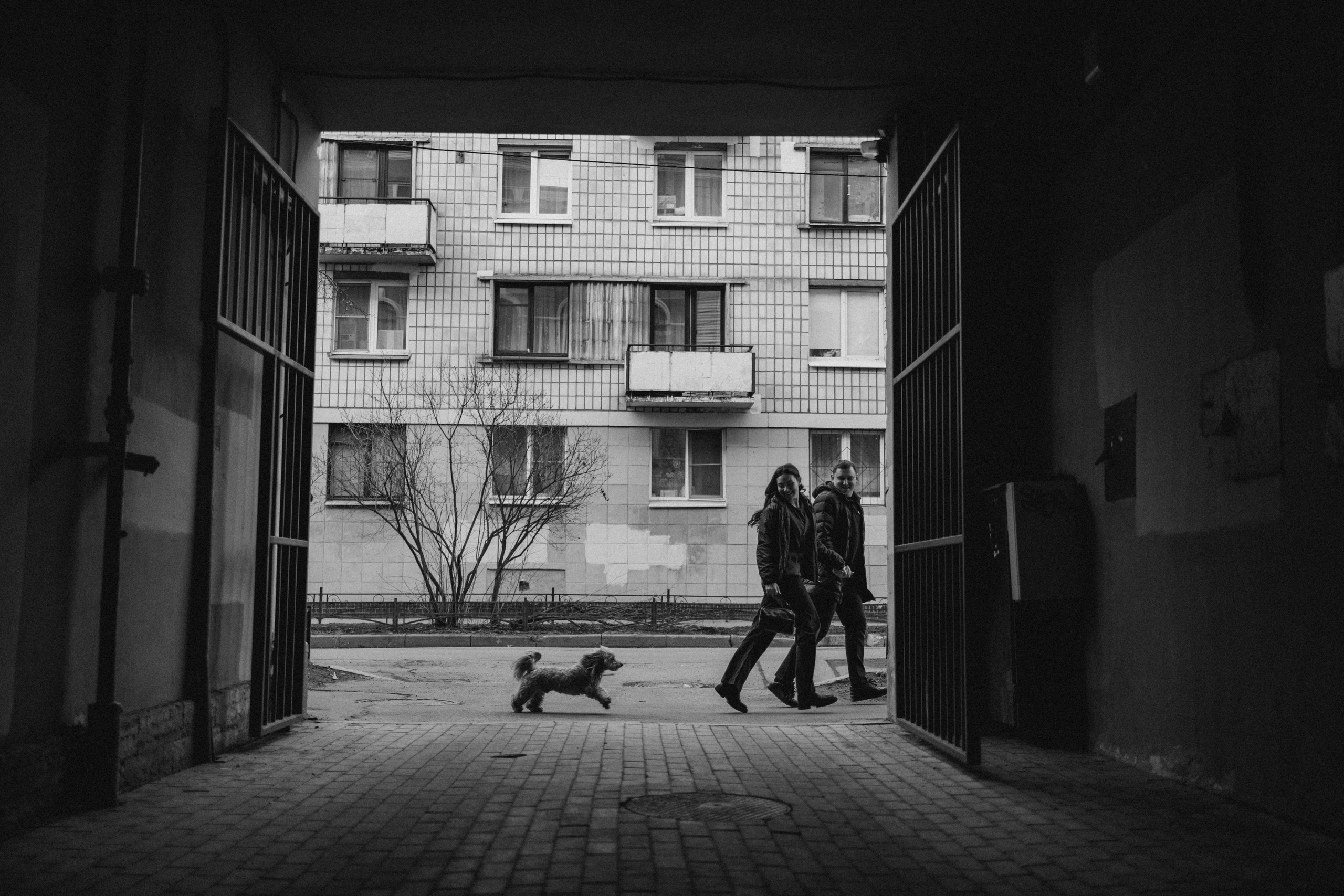 Шкипер и его семья. Фотограф — Анималист | Санкт-Петербург