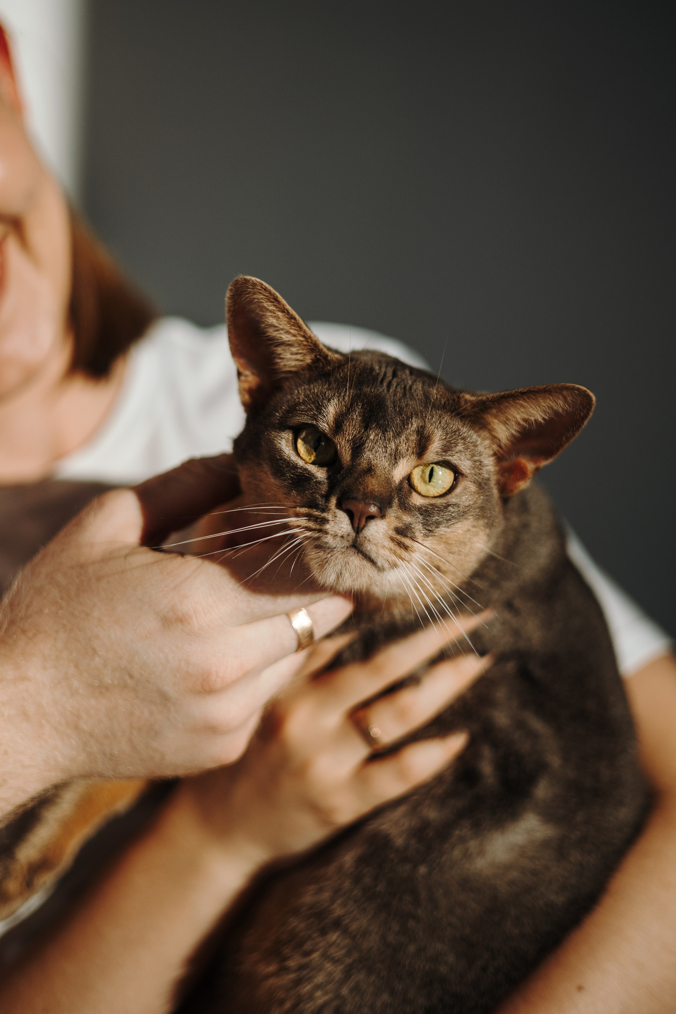 Циско и его семья. Фотограф — Анималист | Санкт-Петербург