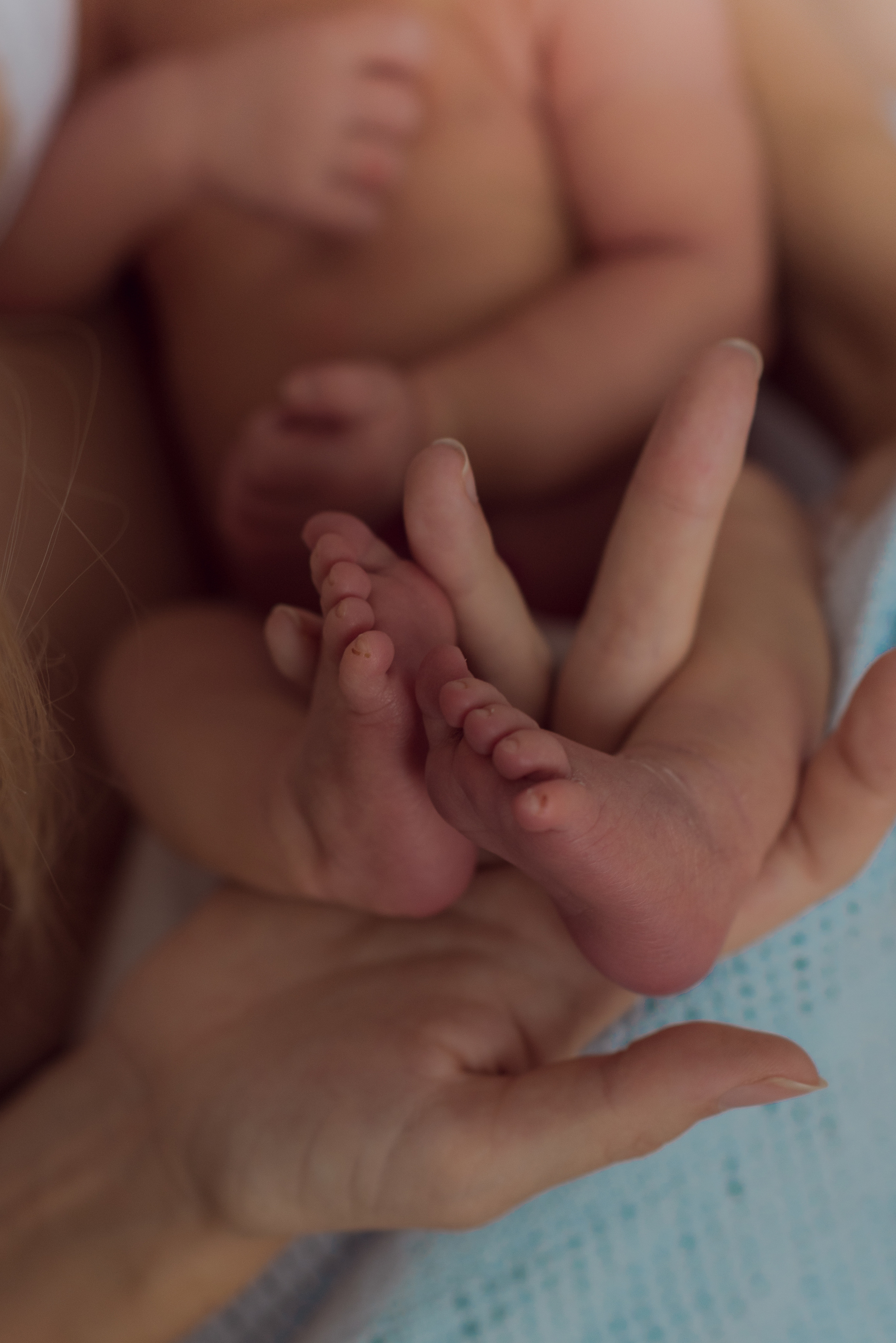 Домашняя ньюборн. Семейный фотограф в Ростове-на-Дону Мария Панарина