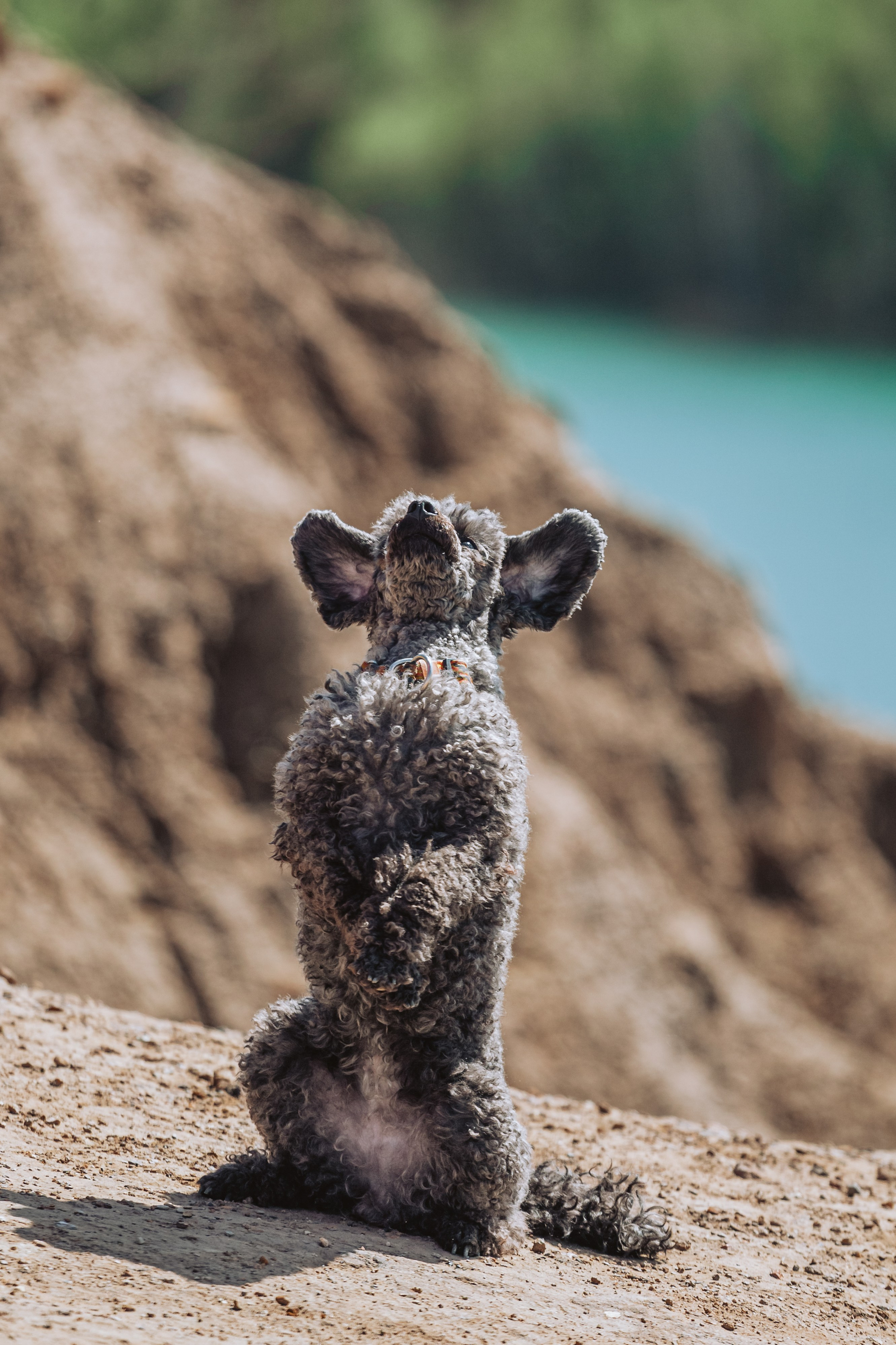 Кондуки. Фотограф-анималист Татьяна Степанова