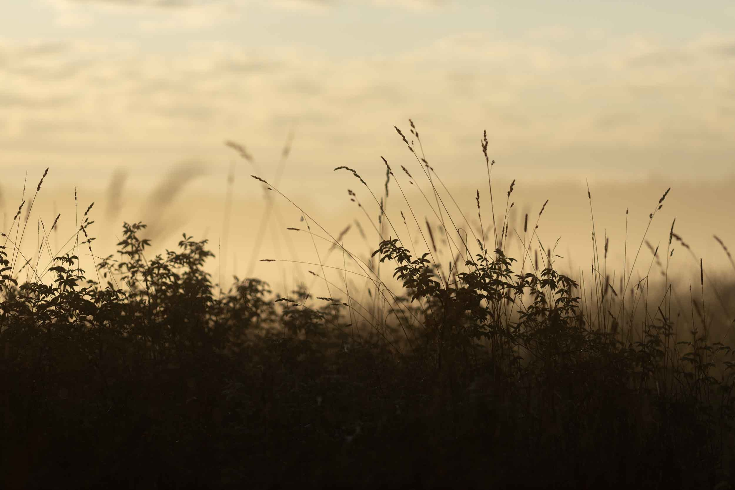 Природные пейзажи. Наталия Клевинскас портретный фотограф в Костроме