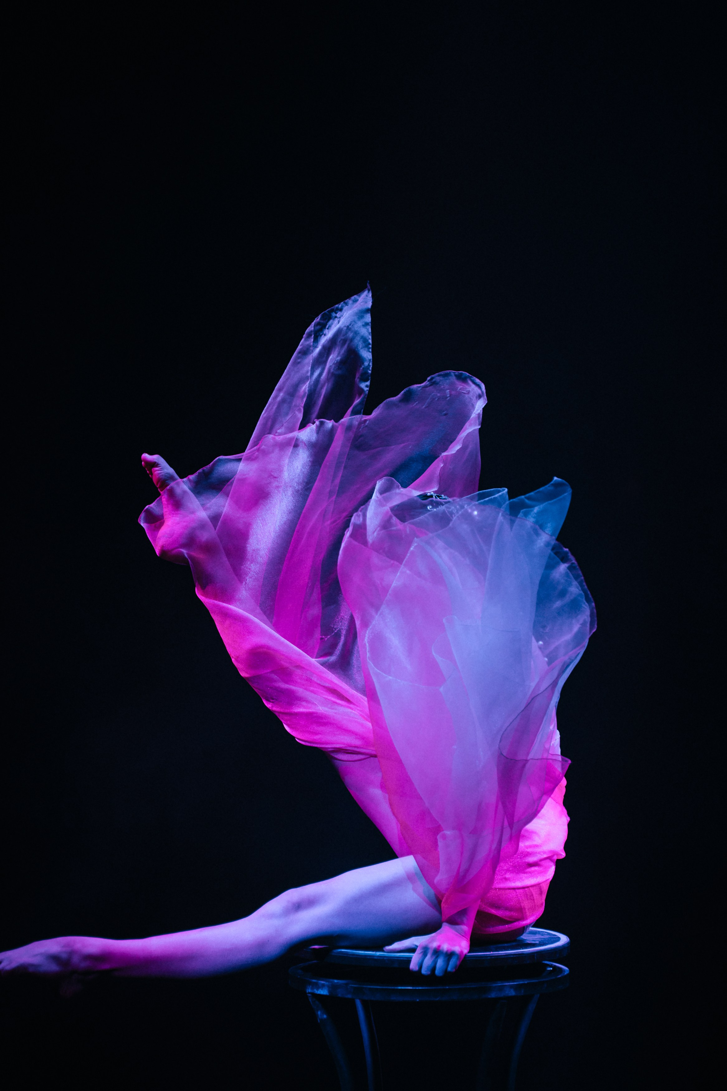 Королевский Цирк Гии Эрадзе. Репортажный и портретный фотограф в Санкт-Петербурге Степлевич Дарья