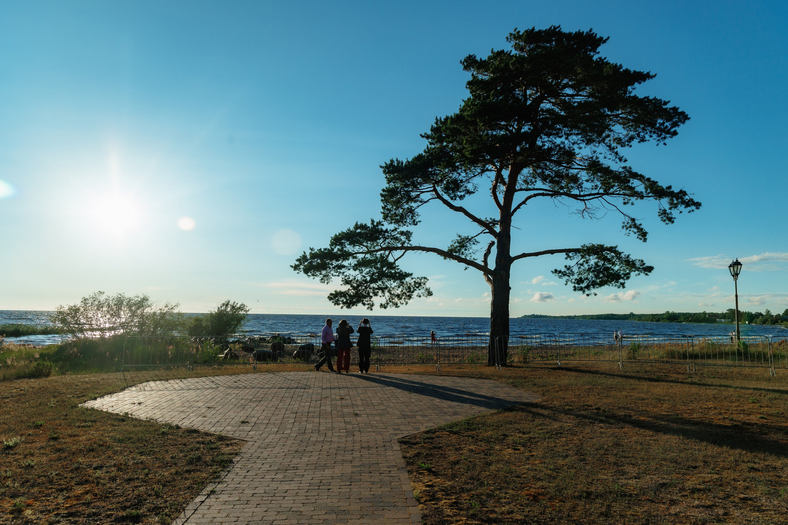 Максим и Ирина на базе Заостровье банкет. Свадебный и семейный фотограф в г. Волхов Алексей Кочерыжкин