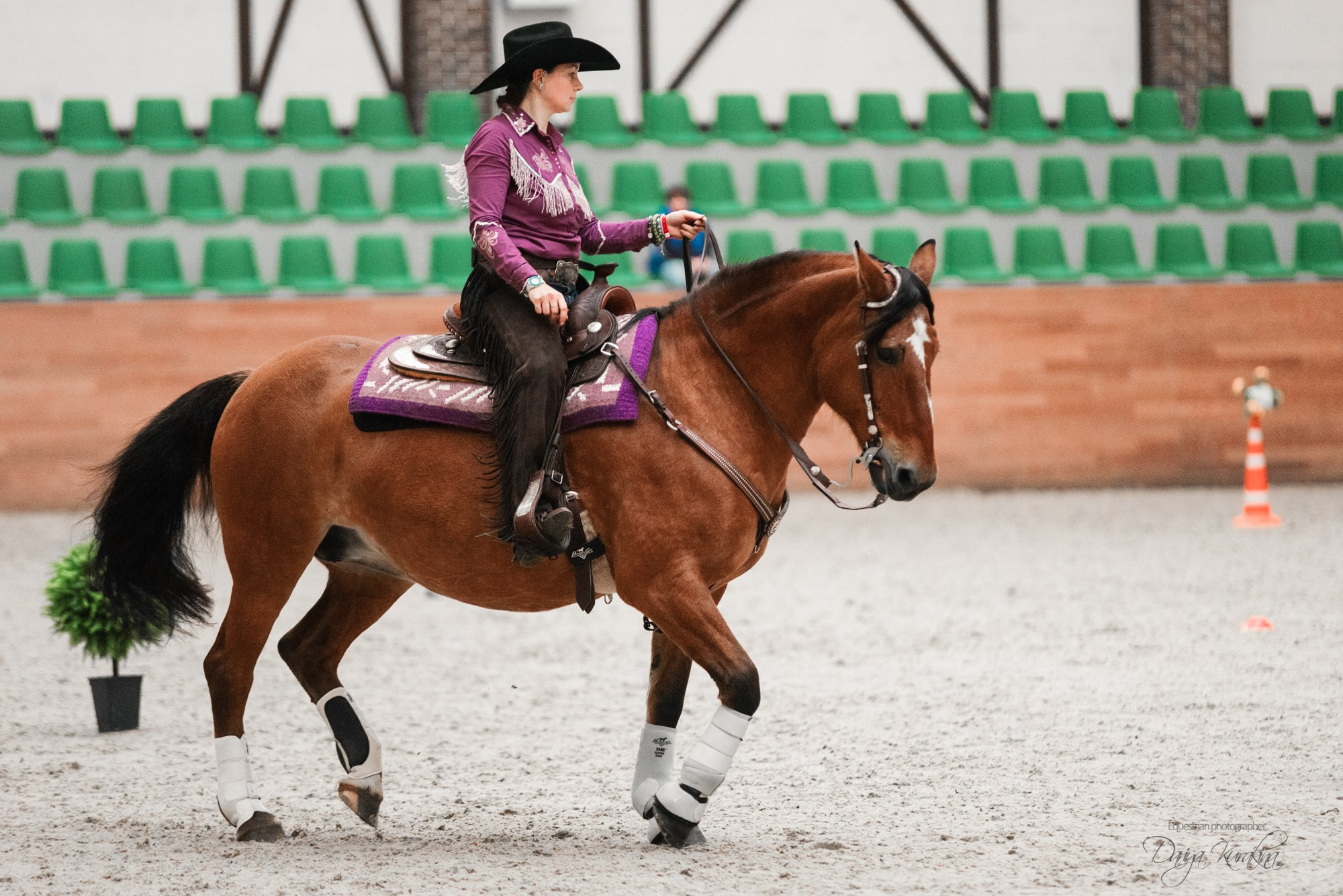 8-я международная выставка Конная Россия. Конный фотограф Куракина Дарья • Фотосессии с лошадьми