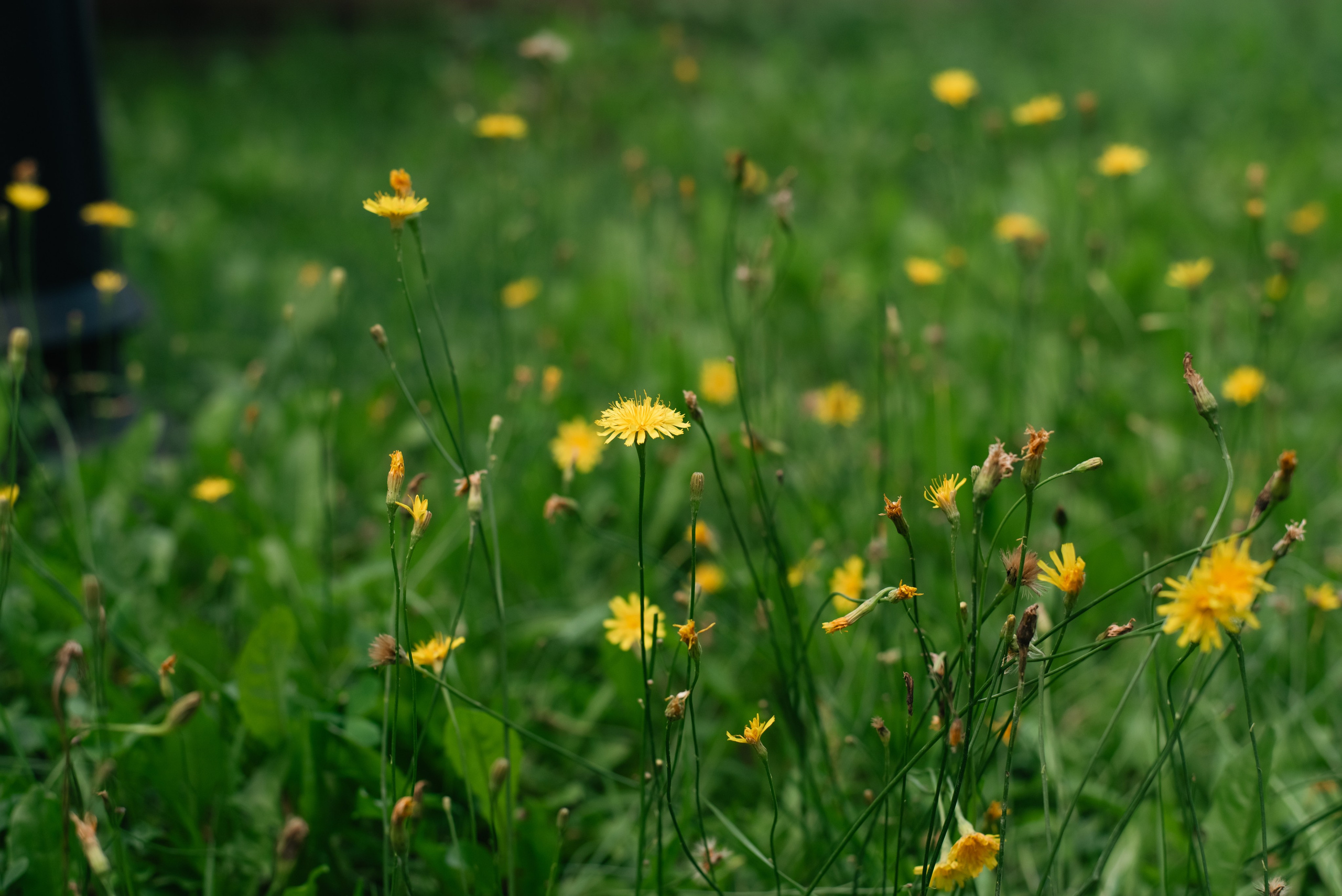 Выездка 10.08.25. Фотограф, визажист. Москва