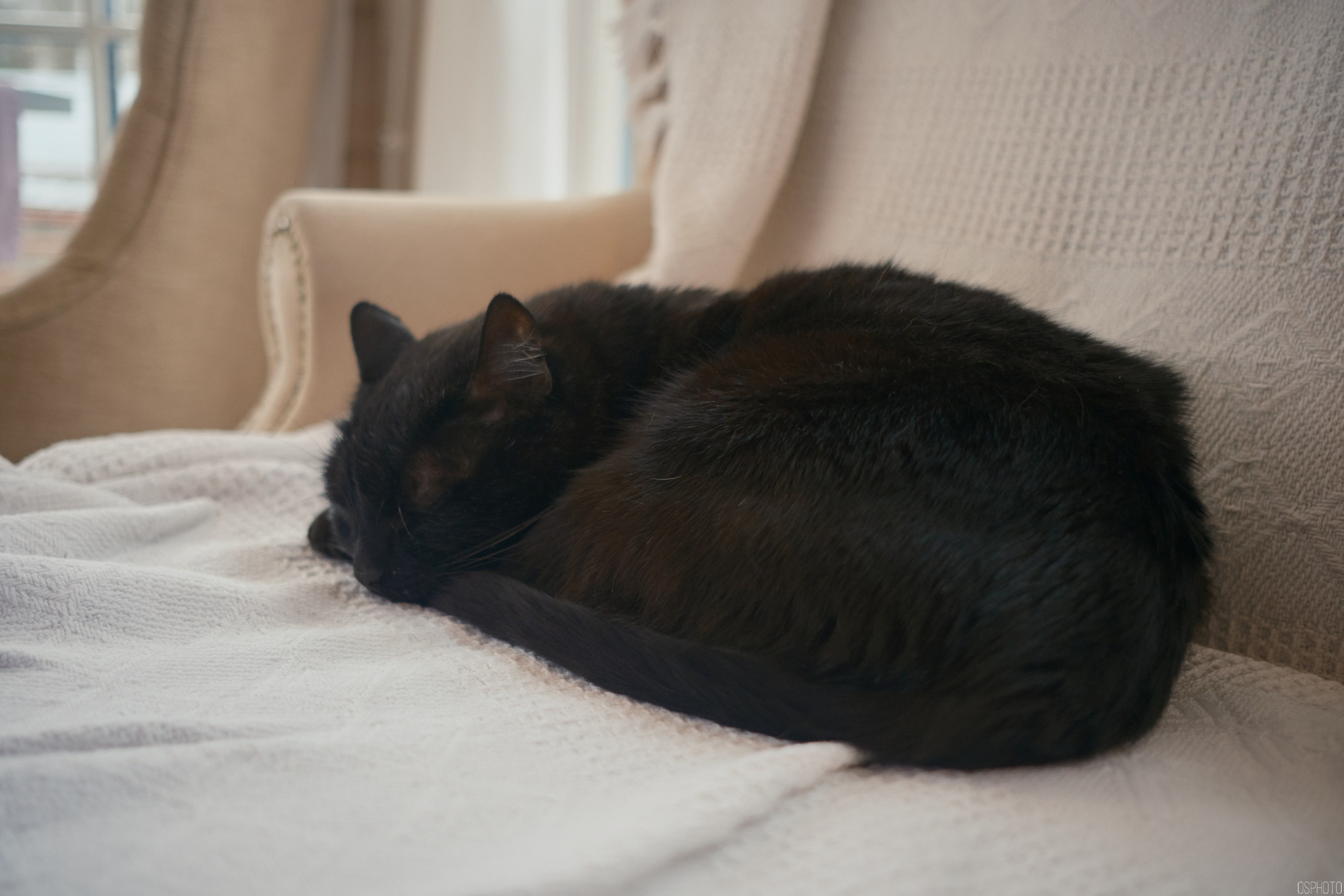 Плёс. Волга. Март. Фотографъ Сергѣевъ. Поймать мгновеніе