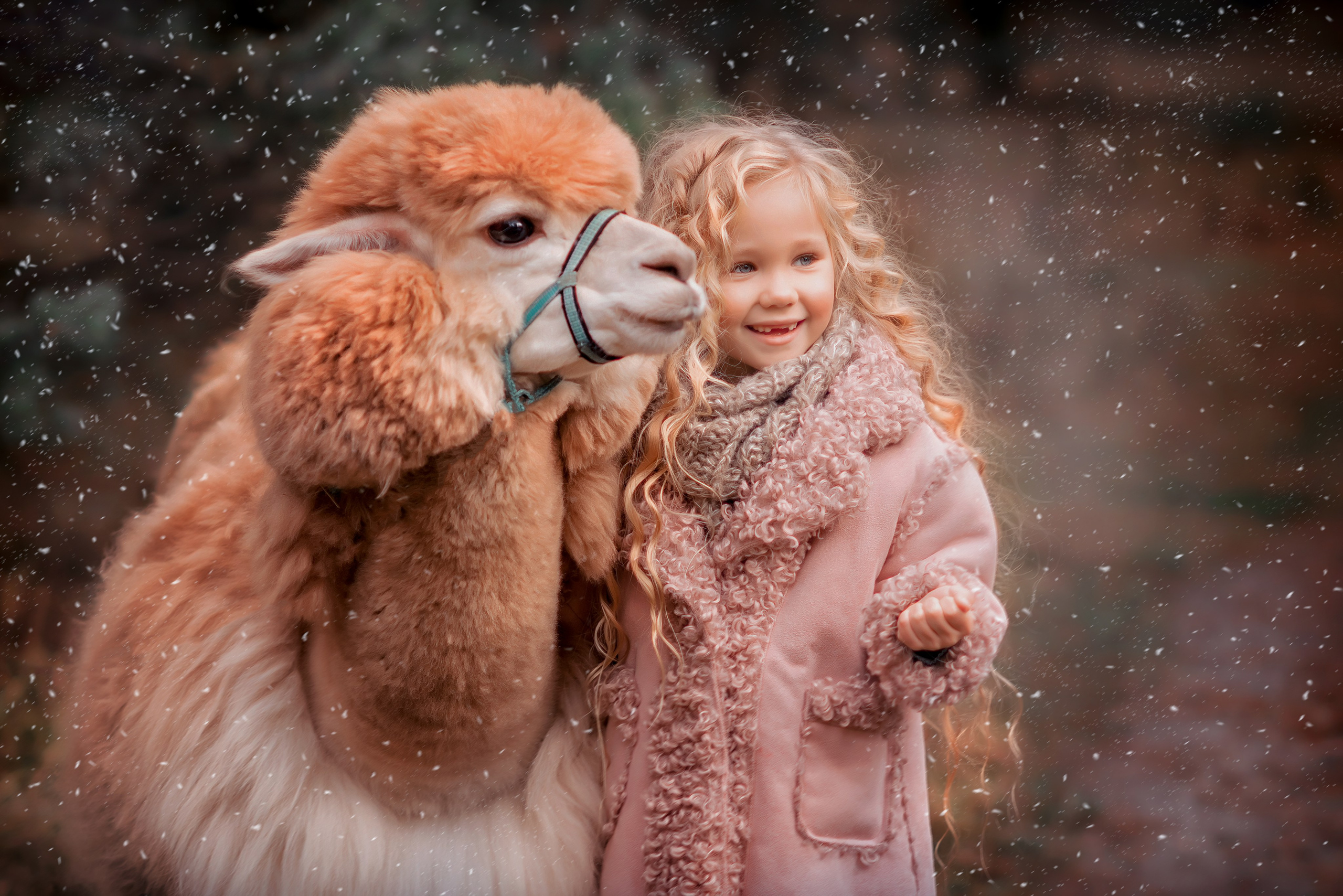 Обучение фото