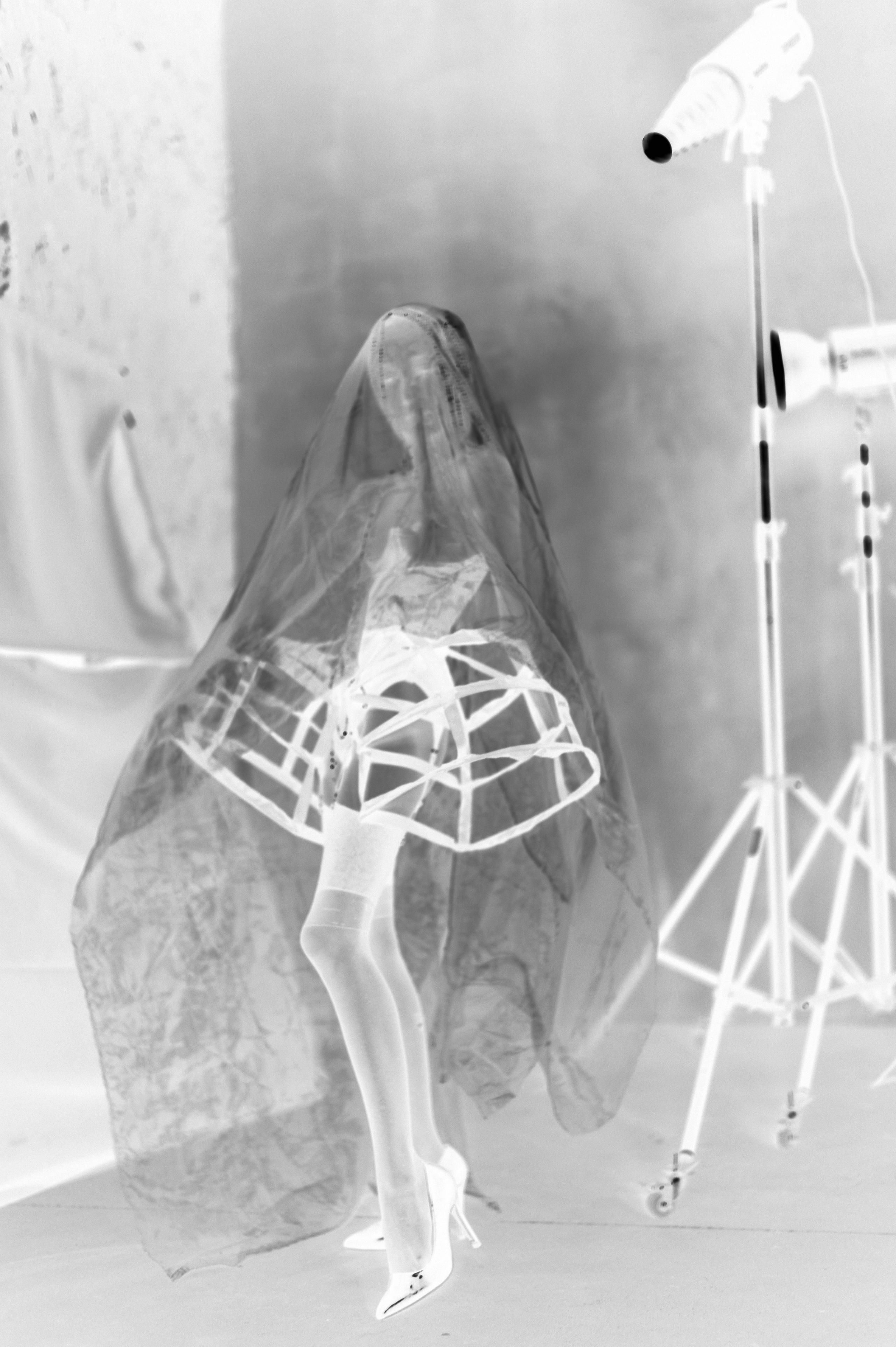 Лебединое Озеро. Фотограф Александр Медведев