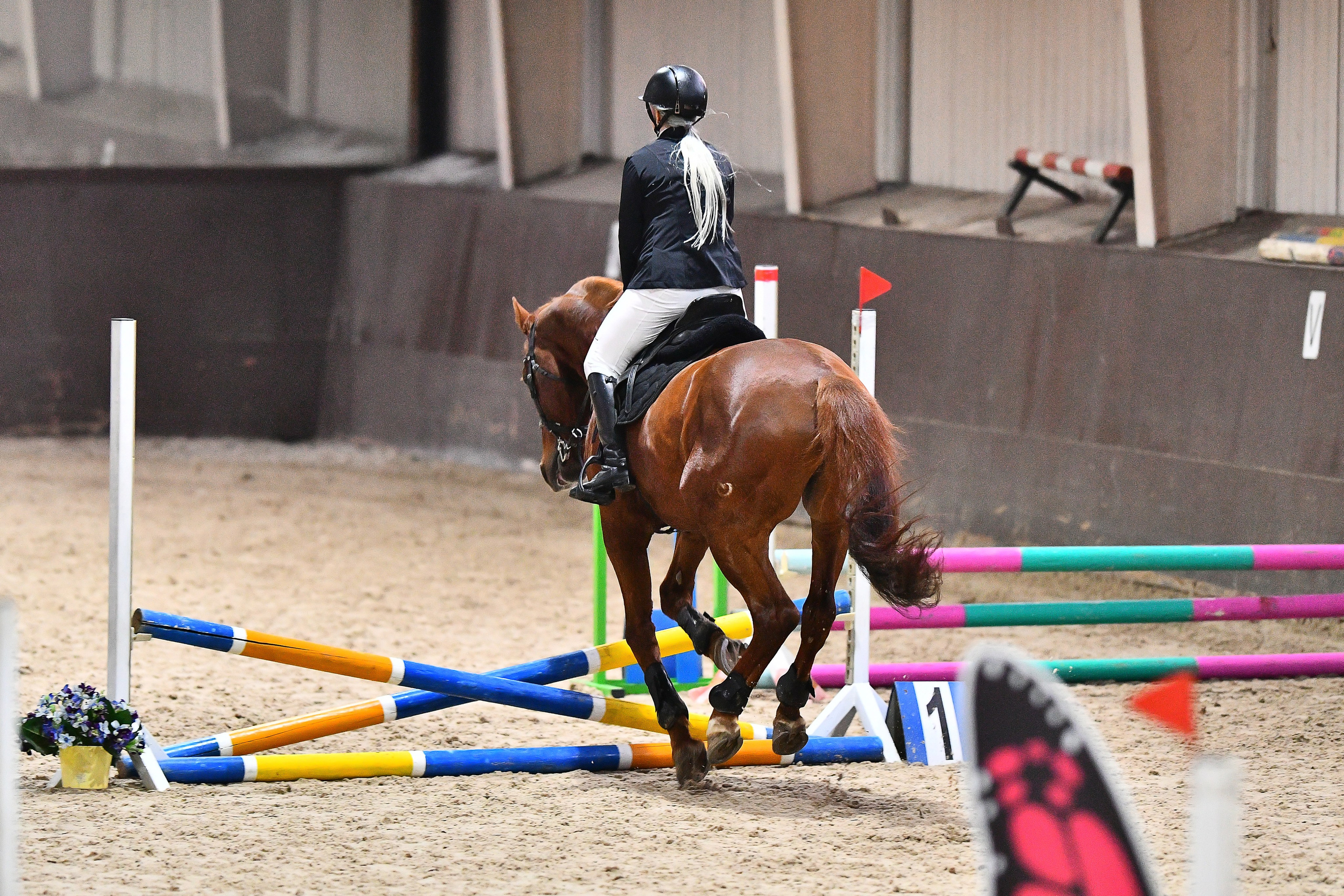 Отзывы. ТУРНИРНАЯ КОННАЯ ФОТОГРАФИЯ, Руднева Ольга и Евгений Адеев