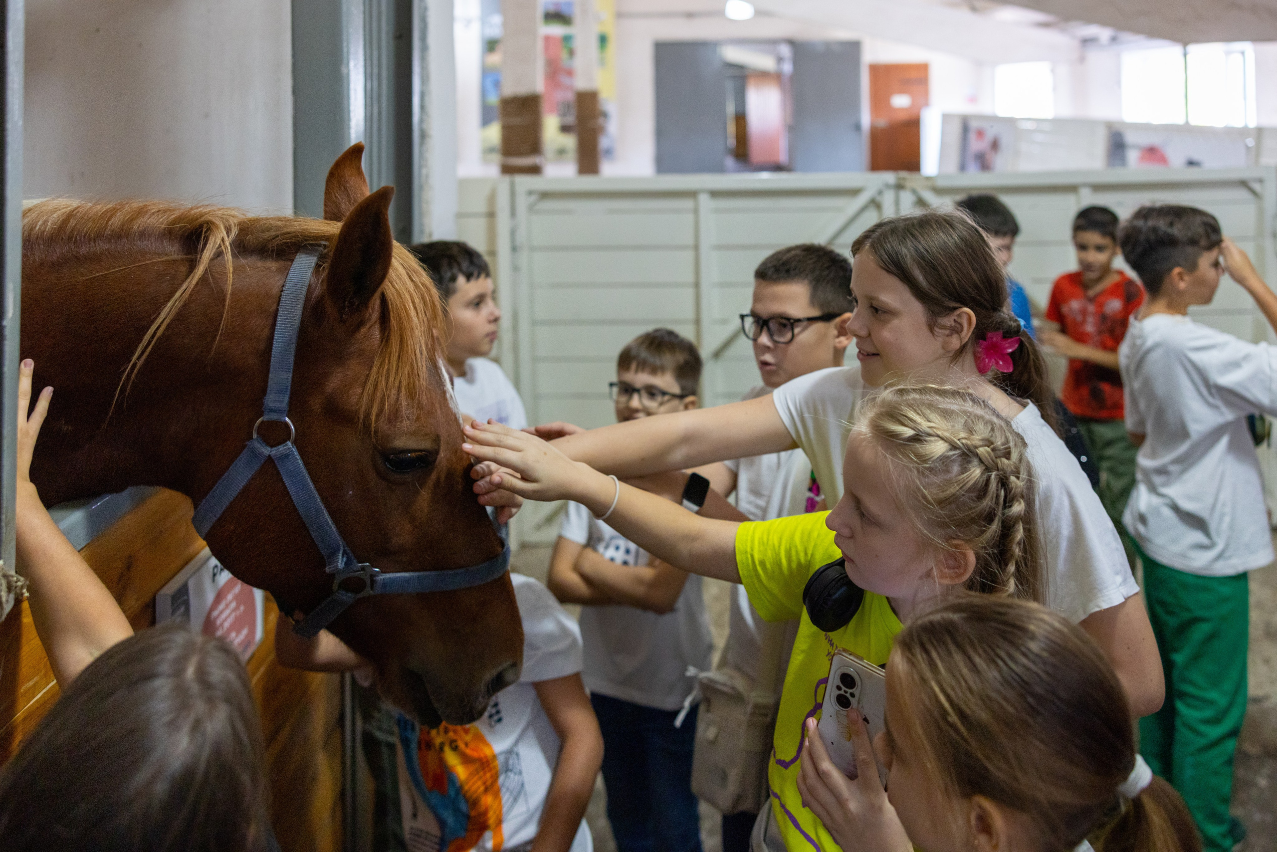 Поездка на поле Кулеково. Фотограф в Туле Крупский АнДРей. Фотостудия «КАДР71» в Туле
