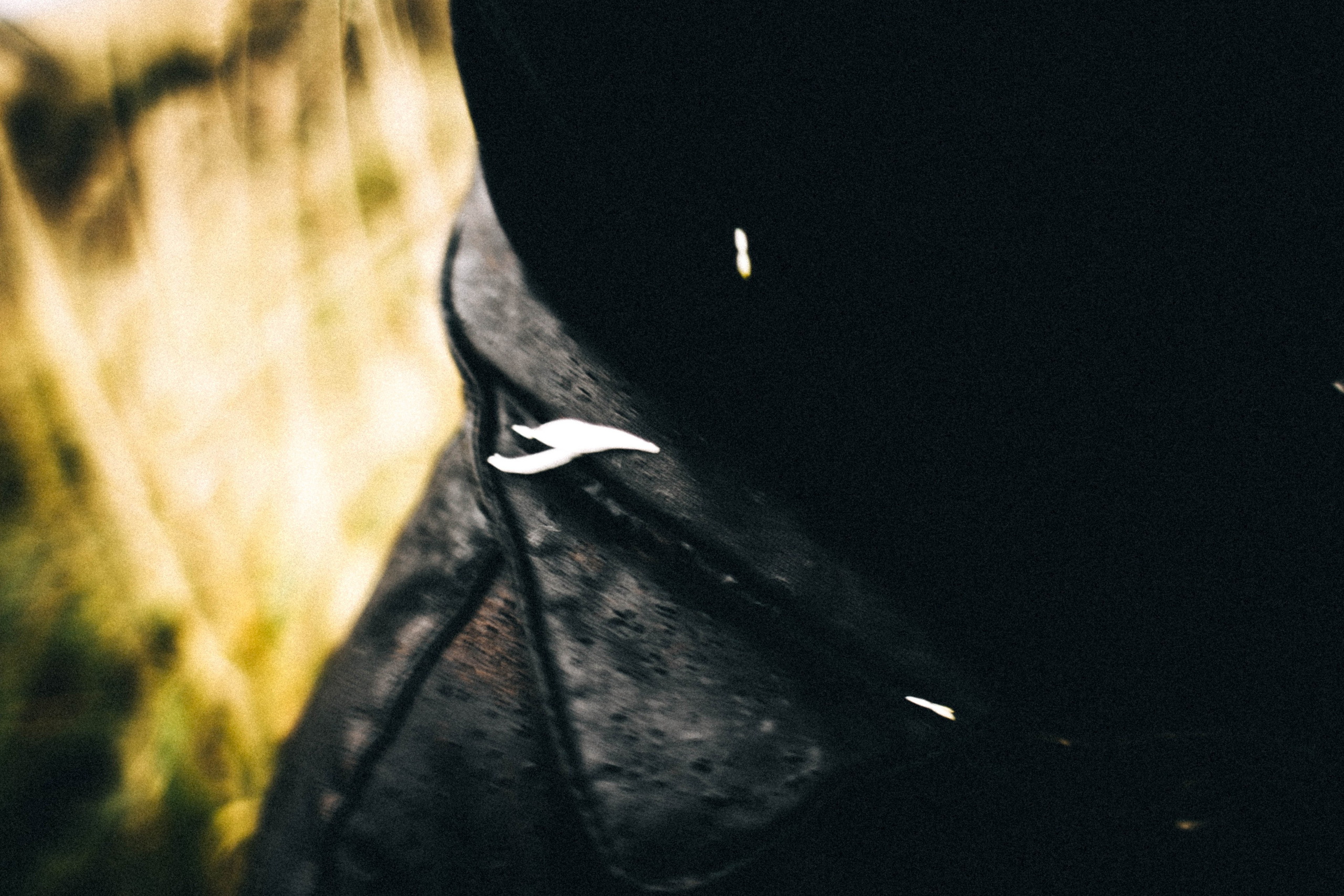 Хтонь дождливая. Фотограф в Нижнем Новгороде