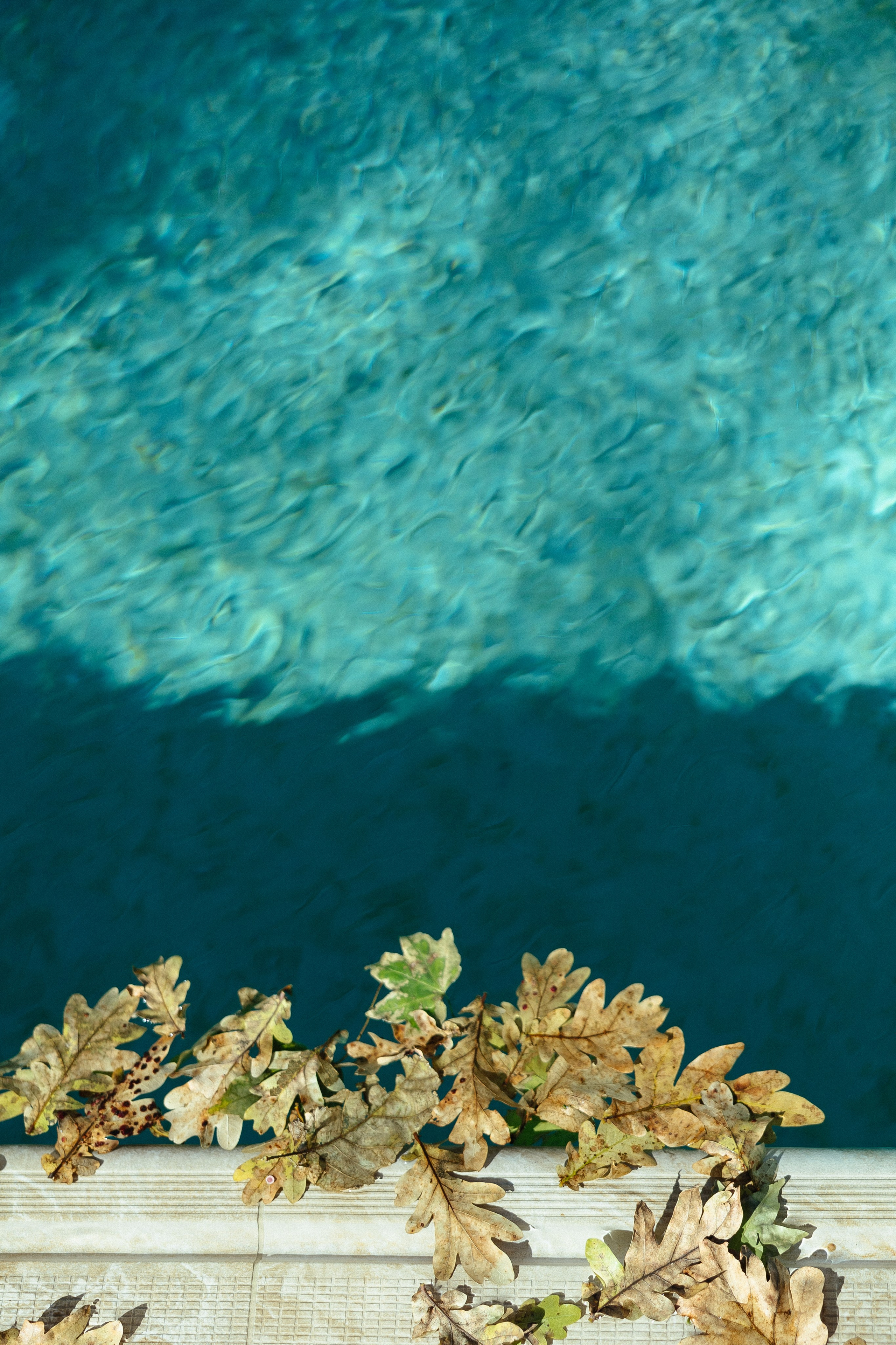 Ашот и Людмила. Свадебный и портретный фотограф в Ростове на Дону Андо Саргсян