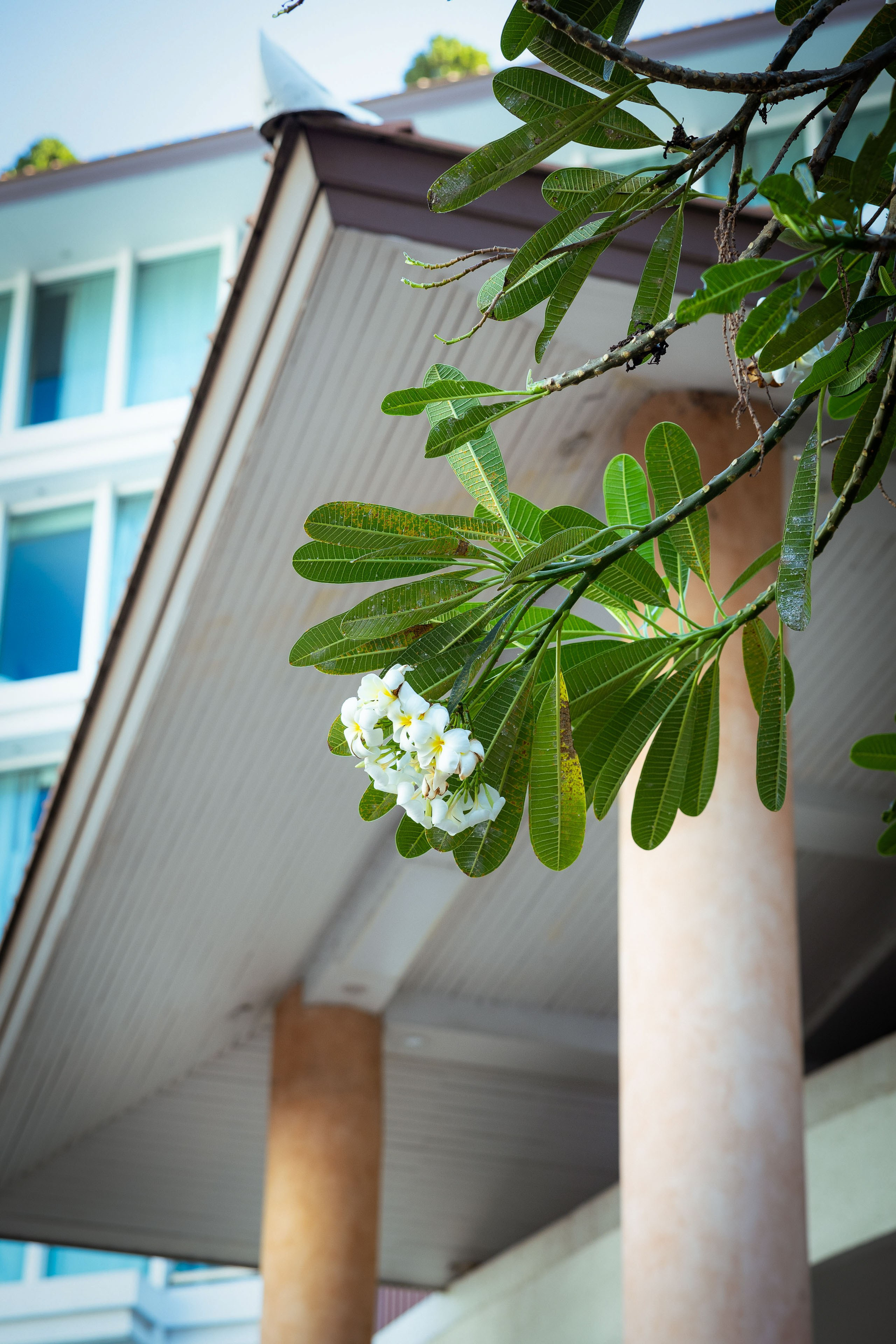 Таиланд (зима 2025). Фотограф Виноградов Константин