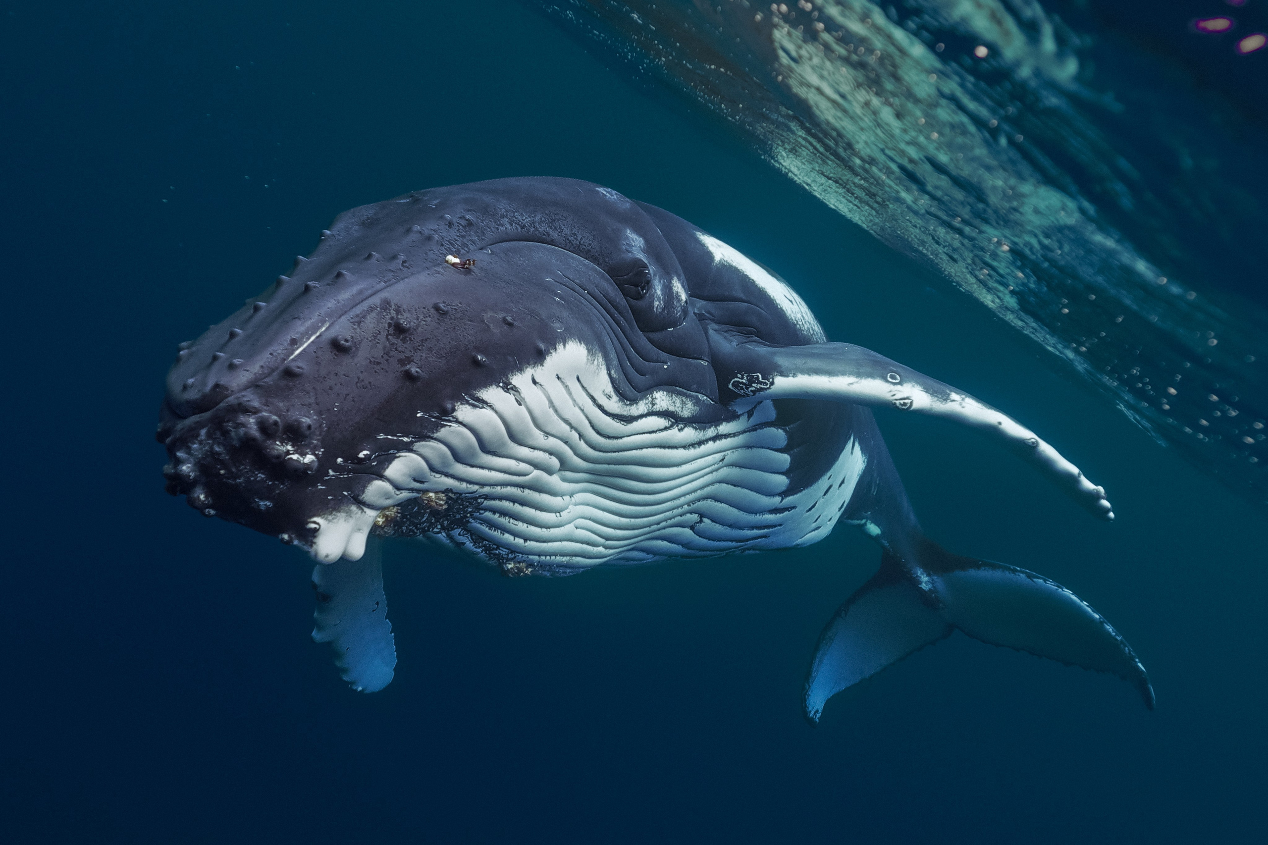 Ростов-на-Дону «Тысяча лиц воды». ARTEXPOPHOTO