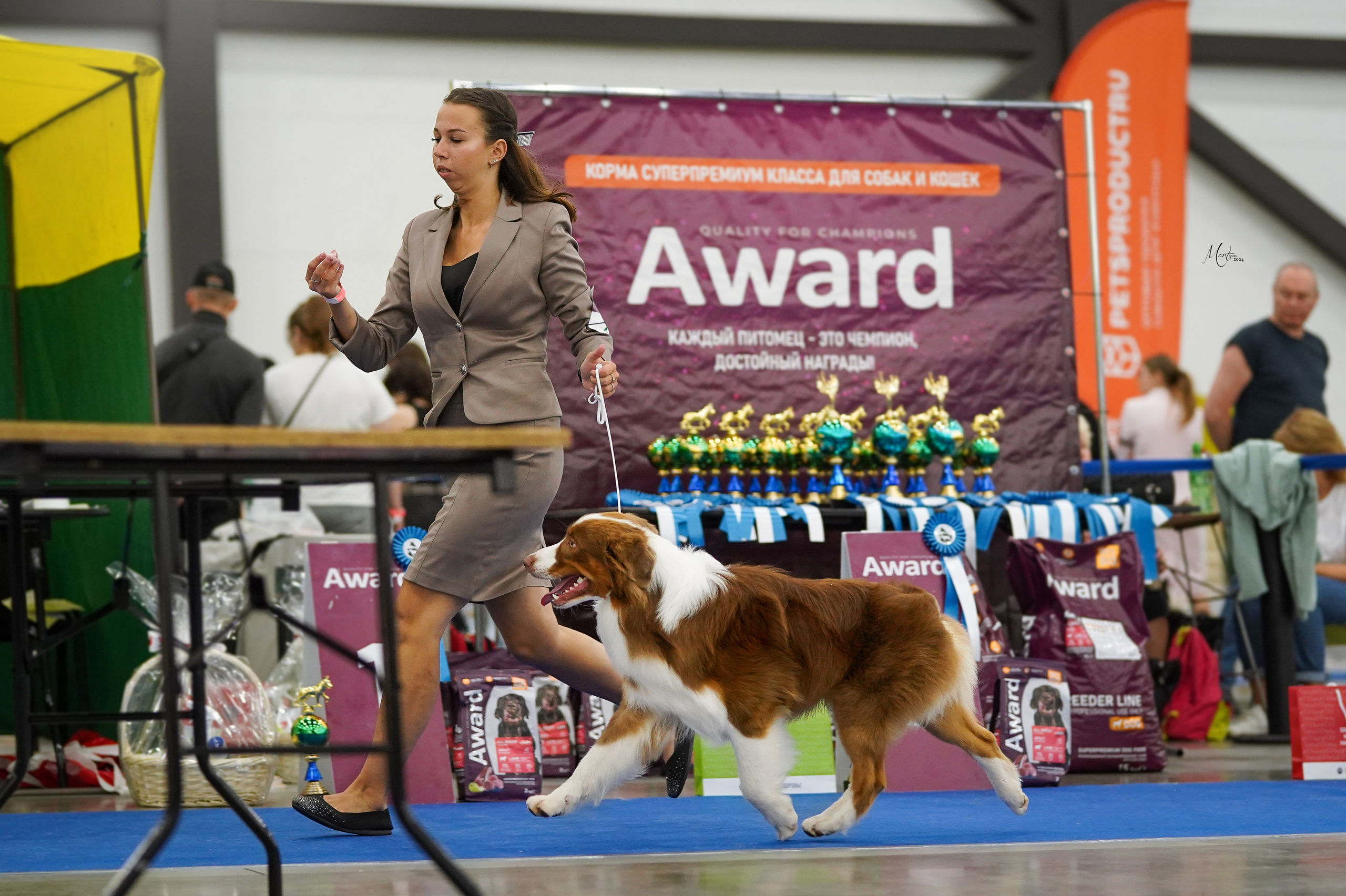 Выставки 2024. Фотограф-анималист в Санкт-Петербурге Яна Мартынова