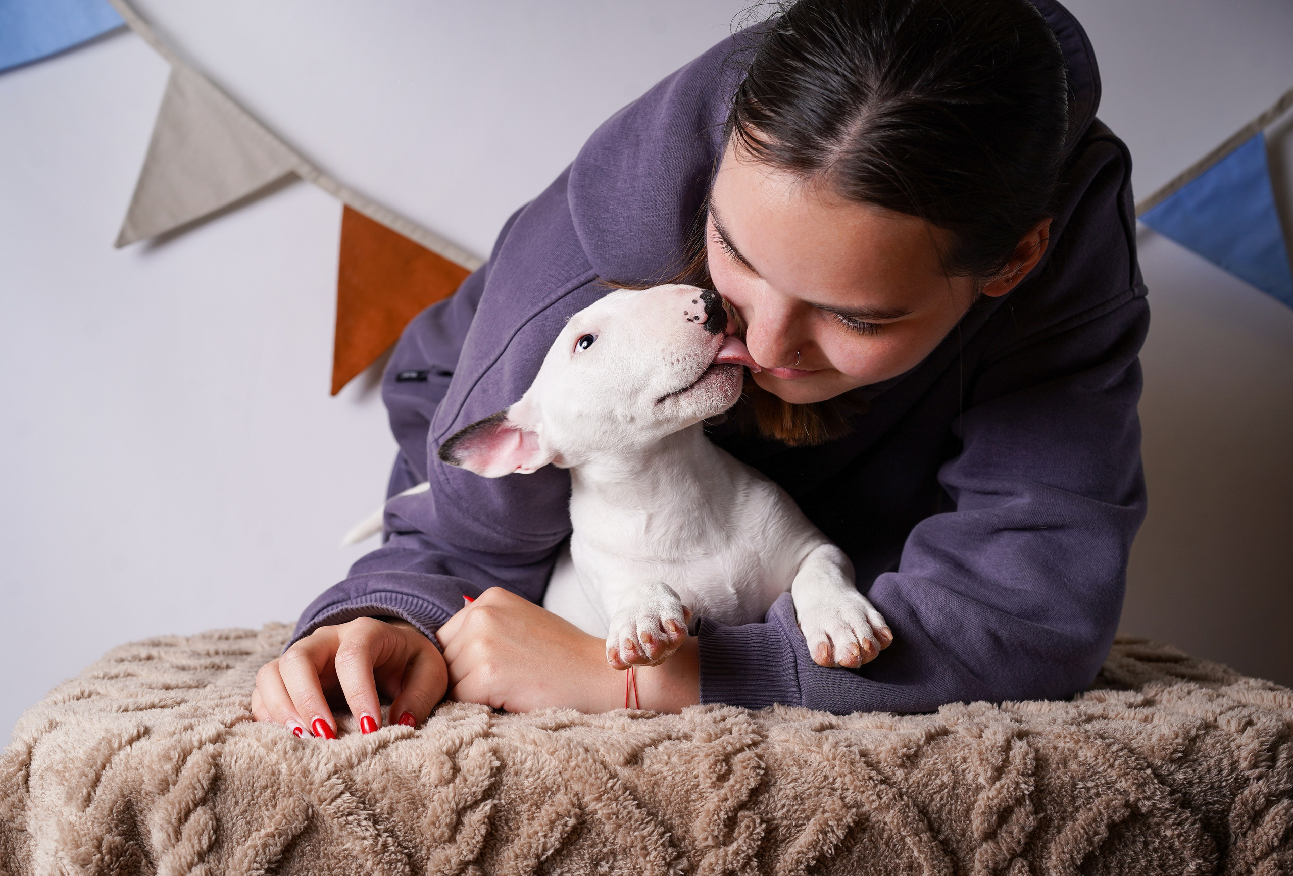 Щенки минибультерьера. Фотограф-анималист в Санкт-Петербурге Яна Мартынова