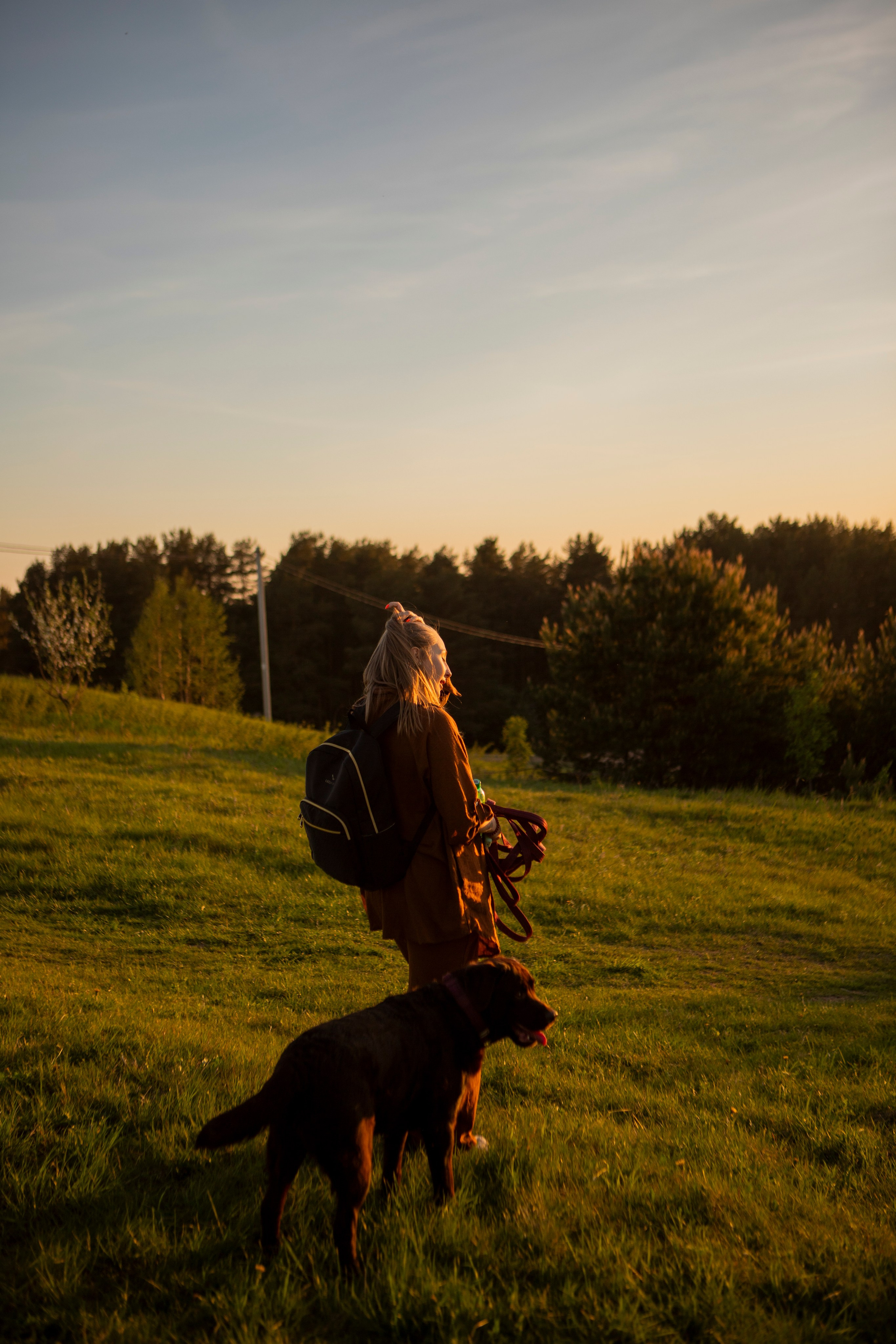 Закатная. Фотограф-анималист в Санкт-Петербурге Алина Яхонт