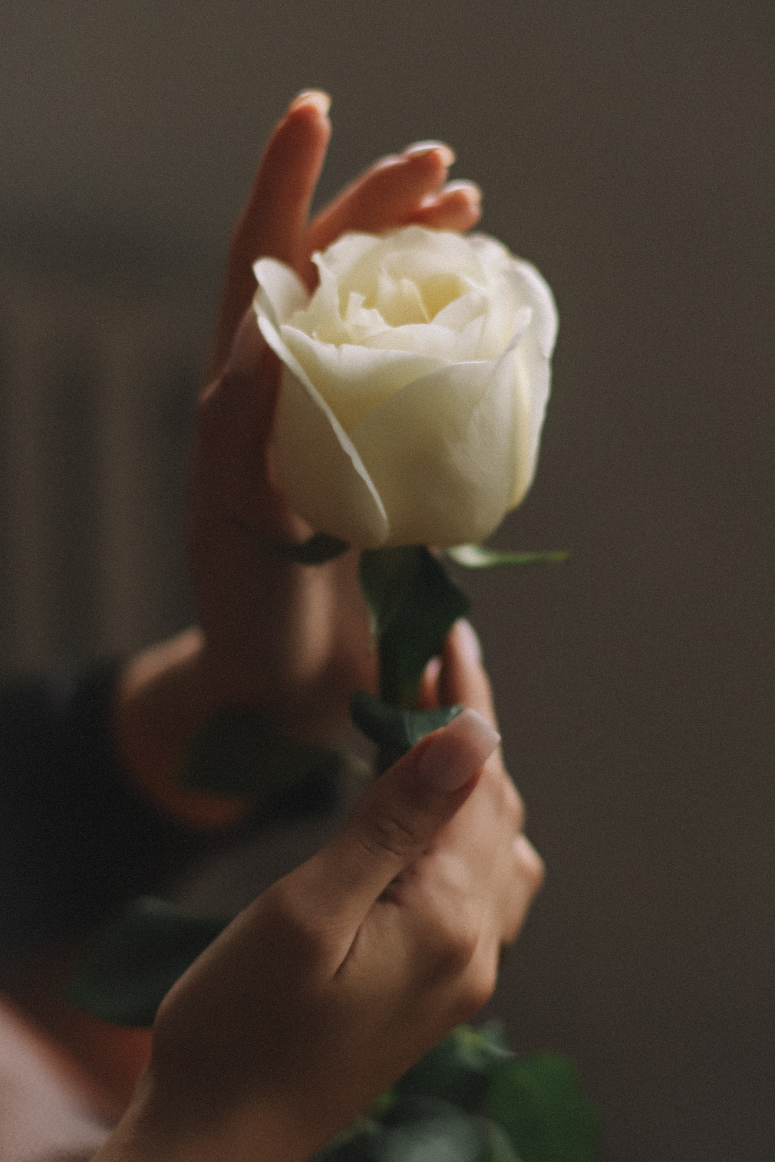 Катя. Фотограф в Нижнем Новгороде Кристина Батанова